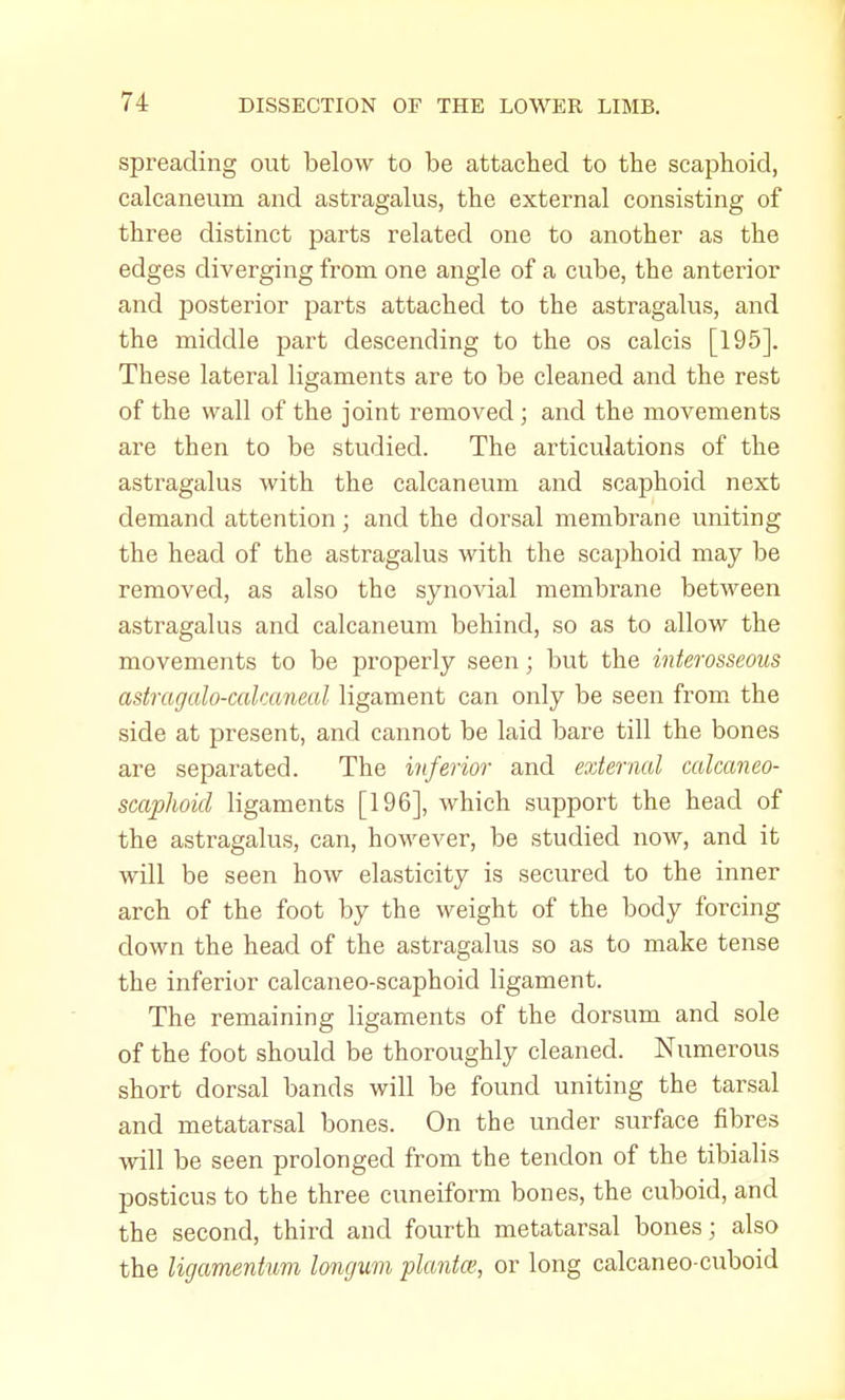 spreading out below to be attached to the scaphoid, calcaneuni and astragalus, the external consisting of three distinct parts related one to another as the edges diverging from one angle of a cube, the anterior and posterior parts attached to the astragalus, and the middle part descending to the os calcis [195]. These lateral ligaments are to be cleaned and the rest of the wall of the joint removed; and the movements are then to be studied. The articulations of the astragalus with the calcaneum and scaphoid next demand attention j and the dorsal membrane uniting the head of the astragalus with the scaphoid may be removed, as also the synovial membrane between astragalus and calcaneum behind, so as to allow the movements to be properly seen; but the interosseous astragalo-cakaneal ligament can only be seen from the side at present, and cannot be laid bare till the bones are separated. The inferior and external calcaneo- scaphoid ligaments [196], which support the head of the astragalus, can, however, be studied now, and it will be seen how elasticity is secured to the inner arch of the foot by the weight of the body forcing down the head of the astragalus so as to make tense the inferior calcaneo-scaphoid ligament. The remaining ligaments of the dorsum and sole of the foot should be thoroughly cleaned. Numerous short dorsal bands will be found uniting the tarsal and metatarsal bones. On the under surface fibres will be seen prolonged from the tendon of the tibialis posticus to the three cuneiform bones, the cuboid, and the second, third and fourth metatarsal bones; also the ligamentnm longum plant®, or long calcaneo-cuboid