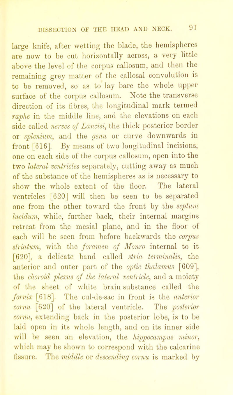 large knife, after wetting the blade, the hemispheres are now to be cut horizontally across, a very little above the level of the corpus callosum, and then the remaining grey matter of the callosal convolution is to be removed, so as to lay bare the whole upper surface of the corpus callosum. Note the transverse direction of its fibres, the longitudinal mark termed raphe in the middle line, and the elevations on each side called nerves of Lancisi, the thick posterior border or splenium, and the genu or curve downwards in front [616]. By means of two longitudinal incisions, one on each side of the corpus callosum, open into the two lateral ventricles separately, cutting away as much of the substance of the hemispheres as is necessary to show the whole extent of the floor. The lateral ventricles [620] will then be seen to be separated one from the other toward the front by the septum lucidum, while, further back, their internal margins retreat from the mesial plane, and in the floor of each will be seen from before backwards the corpus striatum, with the foramen of Monro internal to it [620], a delicate band called stria termivalis, the anterior and outer part of the optic thalamus [609], the choroid plexus of the lateral ventricle, and a moiety of the sheet of white brain substance called the fornix [618]. The cul-de-sac in front is the anterior cornu [620] of the lateral ventricle. The posterior cornu, extending back in the posterior lobe, is to be laid open in its whole length, and on its inner side will be seen an elevation, the hippocampus minor, which may be shown to correspond with the calcarine fissure. The middle or descending cornu is marked by
