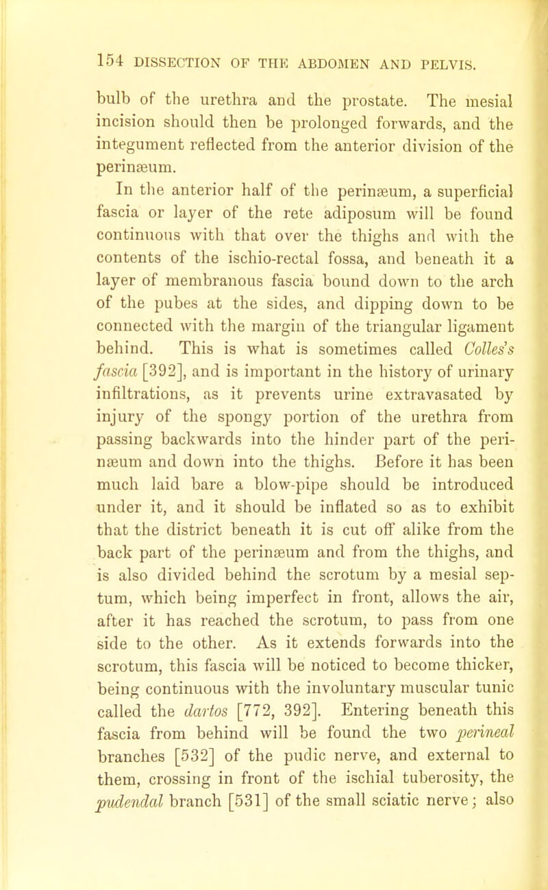 bulb of the urethra and the prostate. The mesial incision should then be prolonged forwards, and the integument reflected from the anterior division of the perinseum. In the anterior half of the perinseum, a superficial fascia or layer of the rete adiposum will be found continuous with that over the thighs and with the contents of the ischio-rectal fossa, and beneath it a layer of membranous fascia bound down to the arch of the pubes at the sides, and dipping down to be connected with the margin of the triangular ligament behind. This is what is sometimes called Colles's fascia [392], and is important in the history of urinary infiltrations, as it prevents urine extravasated by injury of the spongy portion of the urethra from passing backwards into the hinder part of the peri- nseum and down into the thighs. Before it has been much laid bare a blow-pipe should be introduced under it, and it should be inflated so as to exhibit that the district beneath it is cut off alike from the back part of the perinseum and from the thighs, and is also divided behind the scrotum by a mesial sep- tum, which being imperfect in front, allows the air, after it has reached the scrotum, to pass from one side to the other. As it extends forwards into the scrotum, this fascia will be noticed to become thicker, being continuous with the involuntary muscular tunic called the dartos [772, 392]. Entering beneath this fascia from behind will be found the two perineal branches [532] of the pudic nerve, and external to them, crossing in front of the ischial tuberosity, the pudendal branch [531] of the small sciatic nerve; also