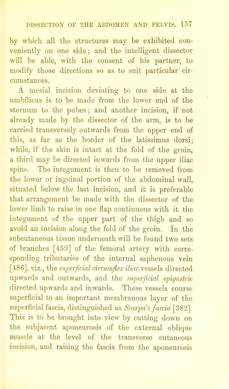 by which all the structures may be exhibited con- veniently on one side; and the intelligent dissector will be able, with the consent of his partner, to modify those directions so as to suit particular cir- cumstances. A mesial incision deviating to one side at the umbilicus is to be made from the lower end of the sternum to the pubes; and another incision, if not already made by the dissector of the arm, is to be carried transversely outwards from the upper end of this, as far as the border of the latissimus dorsi; while, if the skin is intact at the fold of the groin, a third may be directed inwards from the upper iliac spine. The integument is then to be removed from the lower or inguinal portion of the abdominal wall, situated below the last incision, and it is preferable that arrangement be made with the dissector of the lower limb to raise in one flap continuous with it the integument of the upper part of the thigh and so avoid an incision along the fold of the groin. In the subcutaneous tissue underneath will be found two sets of branches [459] of the femoral artery with corre- sponding tributaries of the internal saphenous vein [486], viz., the superficial circumflex iliac vessels directed upwards and outwards, and the superficial epigastric directed upwards and inwards. These vessels course superficial to an important membranous layer of the superficial fascia, distinguished as Scarpa's fascia [382]. This is to be brought into view by cutting down on the subjacent aponeurosis of the external oblique muscle at the level of the transverse cutaneous incision, and raising the fascia from the aponeurosis