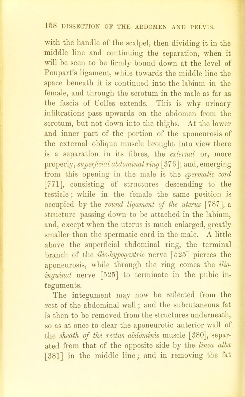 with the handle of the scalpel, then dividing it in the middle line and continuing the separation, when it will be seen to be firmly bound down at the level of Poupart's ligament, while towards the middle line the space beneath it is continued into the labium in the female, and through the scrotum in the male as far as the fascia of Colles extends. This is why urinary infiltrations pass upwards on the abdomen from the scrotum, but not down into the thighs. At the lower and inner part of the portion of the aponeurosis of the external oblique muscle brought into view there is a separation in its fibres, the external or, more properly, superficial abdominal ring [376]; and, emerging from this opening in the male is the spermatic cord [771], consisting of structures descending to the testicle; while in the female the same position is occupied by the round ligament of the uterus [787], a structure passing down to be attached in the labium, and, except when the uterus is much enlarged, greatly smaller than the spermatic cord in the male. A little above the superficial abdominal ring, the terminal branch of the ilio-hypogastric nerve [525] pierces the aponeurosis, while through the ring comes the ilio- inguinal nerve [525] to terminate in the pubic in- teguments. The integument may now be reflected from the rest of the abdominal wall; and the subcutaneous fat is then to be removed from the structures underneath, so as at once to clear the aponeurotic anterior wall of the sheath of the rectus abdominis muscle [380], separ- ated from that of the opposite side by the linea alba [381] in the middle line; and in removing the fat