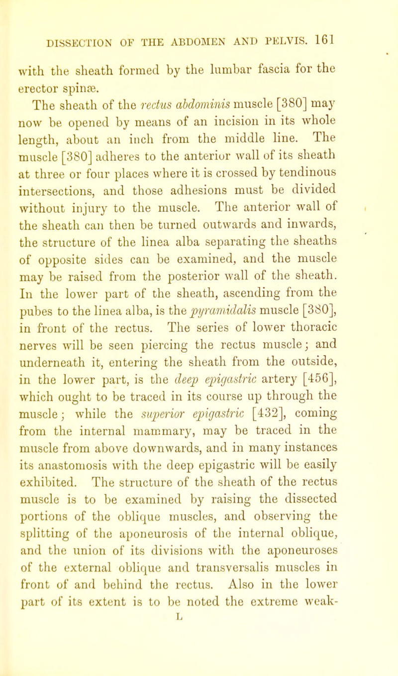 with the sheath formed by the lumbar fascia for the erector spinte. The sheath of the rectus abdominis muscle [380] may now be opened by means of an incision in its whole length, about an inch from the middle line. The O 7 muscle [380] adheres to the anterior wall of its sheath at three or four places where it is crossed by tendinous intersections, and those adhesions must be divided without injury to the muscle. The anterior wall of the sheath can then be turned outwards and inwards, the structure of the linea alba separating the sheaths of opposite sides can be examined, and the muscle may be raised from the posterior wall of the sheath. In the lower part of the sheath, ascending from the pubes to the linea alba, is the pyrcmidalis muscle [380], in front of the rectus. The series of lower thoracic nerves will be seen piercing the rectus muscle; and underneath it, entering the sheath from the outside, in the lower part, is the deep epigastric artery [456], which ought to be traced in its course up through the muscle; while the superior epigastric [432], coming from the internal mammary, may be traced in the muscle from above downwards, and in many instances its anastomosis with the deep epigastric will be easily exhibited. The structure of the sheath of the rectus muscle is to be examined by raising the dissected portions of the oblique muscles, and observing the splitting of the aponeurosis of the internal oblique, and the union of its divisions with the aponeuroses of the external oblique and transversalis muscles in front of and behind the rectus. Also in the lower part of its extent is to be noted the extreme wcak- L