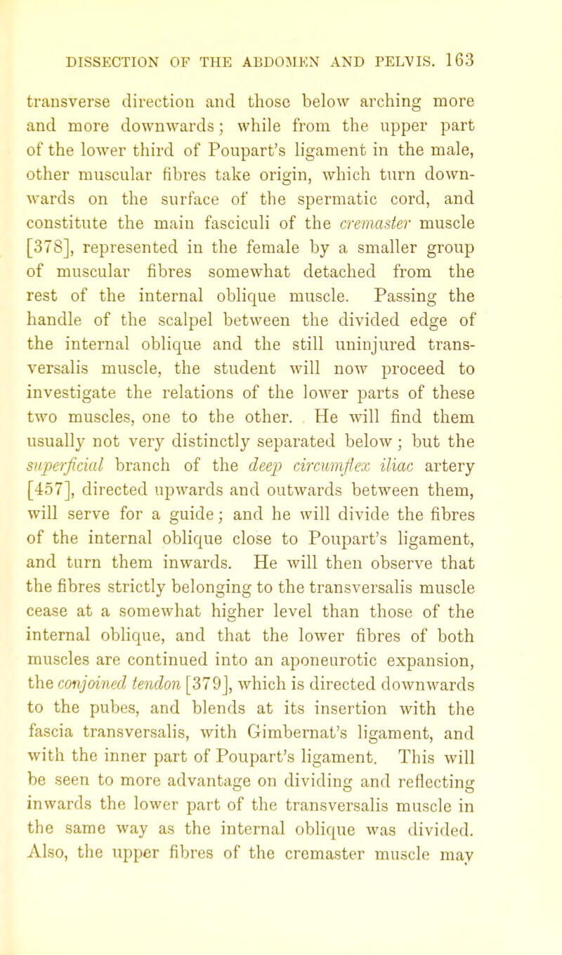 transverse direction and those below arching more and more downwards; while from the upper part of the lower third of Poupart's ligament in the male, other muscular fibres take origin, which turn down- wards on the surface of the spermatic cord, and constitute the main fasciculi of the cremaster muscle [378], represented in the female by a smaller group of muscular fibres somewhat detached from the rest of the internal oblique muscle. Passing the handle of the scalpel between the divided edge of the internal oblique and the still uninjured trans- versalis muscle, the student will now proceed to investigate the relations of the lower parts of these two muscles, one to the other. He will find them usually not very distinctly separated below; but the superficial branch of the deep circumflex iliac artery [457], directed upwards and outwards between them, will serve for a guide; and he will divide the fibres of the internal oblique close to Poupart's ligament, and turn them inwards. He will then observe that the fibres strictly belonging to the transversalis muscle cease at a somewhat higher level than those of the internal oblique, and that the lower fibres of both muscles are continued into an aponeurotic expansion, the conjoined tendon [379], which is directed downwards to the pubes, and blends at its insertion with the fascia transversalis, with Gimbernat's ligament, and with the inner part of Poupart's ligament. This will be seen to more advantage on dividing and reflecting inwards the lower part of the transversalis muscle in the same way as the internal oblique was divided. Also, the upper fibres of the cremaster muscle may