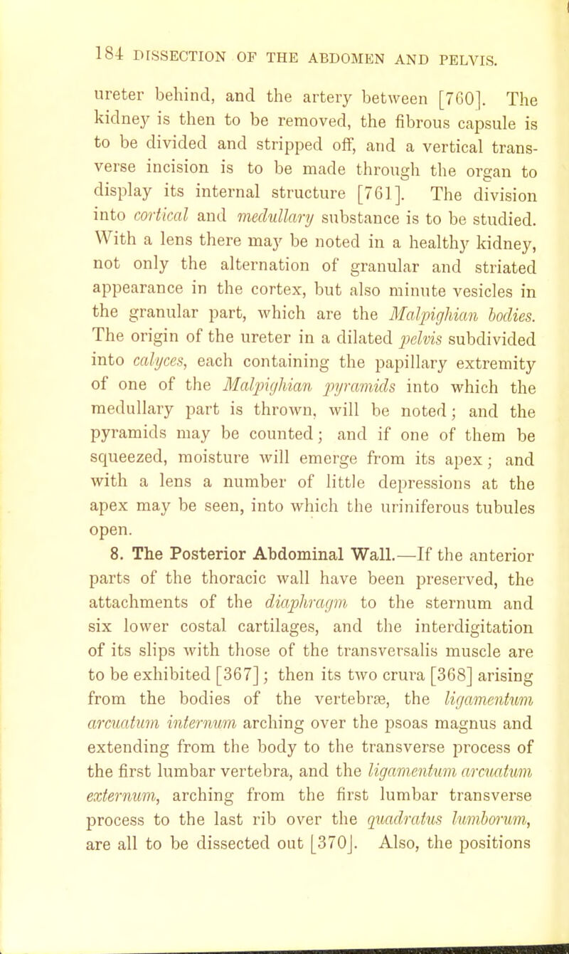 ureter behind, and the artery between [760]. The kidney is then to be removed, the fibrous capsule is to be divided and stripped off, and a vertical trans- verse incision is to be made through the organ to display its internal structure [761]. The division into cortical and medullary substance is to be studied. With a lens there may be noted in a healthy kidney, not only the alternation of granular and striated appearance in the cortex, but also minute vesicles in the granular part, which are the Malpighian bodies. The origin of the ureter in a dilated pelvis subdivided into calyces, each containing the papillary extremity of one of the Malpighian pyramids into which the medullary part is thrown, will be noted; and the pyramids may be counted; and if one of them be squeezed, moisture will emerge from its apex; and with a lens a number of little depressions at the apex may be seen, into which the uriniferous tubules open. 8. The Posterior Abdominal Wall.—If the anterior parts of the thoracic wall have been preserved, the attachments of the diaphragm to the sternum and six lower costal cartilages, and the interdigitation of its slips with those of the transversalis muscle are to be exhibited [367]; then its two crura [368] arising from the bodies of the vertebrae, the ligamentnm arcuatum internum arching over the psoas magnus and extending from the body to the transverse process of the first lumbar vertebra, and the ligamentum arcuatum externum, arching from the first lumbar transverse process to the last rib over the quadratus lumborum, are all to be dissected out [370J. Also, the positions