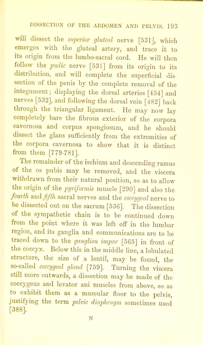 will dissect the superior gluteal nerve [531], which emerges with the gluteal artery, and trace it to its origin from the lumbo-sacral cord. He will then follow the pudic nerve [531] from its origin to its distribution, and will complete the superficial dis- section of the penis by the complete removal of the integument; displaying the dorsal arteries [454] and nerves [532], and following the dorsal vein [482] back through the triangular ligament. He may now lay completely bare the fibrous exterior of the corpora cavernosa and corpus spongiosum, and he should dissect the glans sufficiently from the extremities of the corpora cavernosa to show that it is distinct from them [779-781]. The remainder of the ischium and descending ramus of the os pubis may be removed, and the viscera withdrawn from their natural position, so as to allow the origin of the piriformis muscle [290] and also the fourth and fifth sacral nerves and the coccygeal nerve to be dissected out on the sacrum [536]. The dissection of the sympathetic chain is to be continued down from the point where it was left off in the lumbar region, and its ganglia and communications are to be traced down to the ganglion impar [565] in front of the coccyx. Below this in the middle line, a lobulated structure, the size of a lentil, may be found, the so-called coccygeal gland [759]. Turning the viscera still more outwards, a dissection may be made of the coccygeus and levator ani muscles from above, so as to exhibit them as a muscular floor to the pelvis, justifying the term pelvic diaphragm sometimes used [388]. N