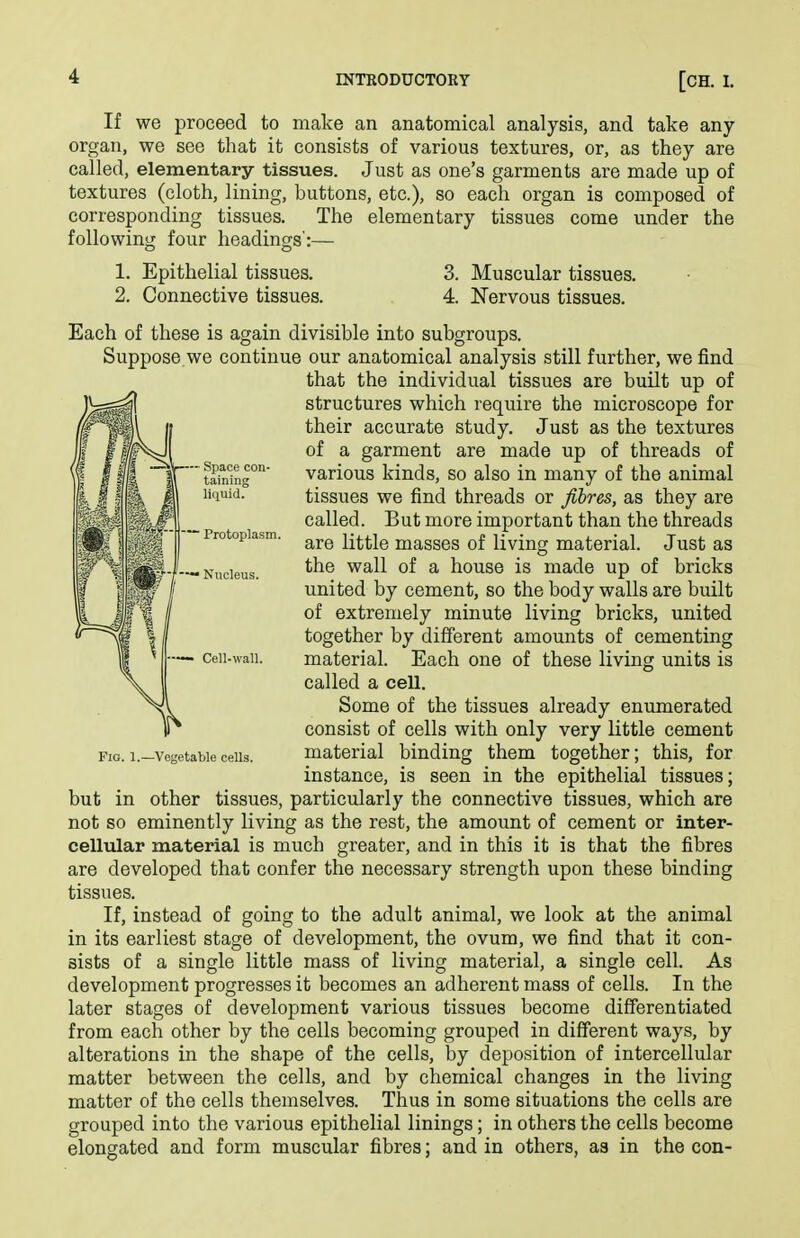 If we proceed to make an anatomical analysis, and take any organ, we see that it consists of various textures, or, as they are called, elementary tissues. Just as one's garments are made up of textures (cloth, lining, buttons, etc.), so each organ is composed of corresponding tissues. The elementary tissues come under the following four headings':— 1. Epithelial tissues. 3. Muscular tissues, 2. Connective tissues. 4. Nervous tissues. Each of these is again divisible into subgroups. Suppose we continue our anatomical analysis still further, we find that the individual tissues are built up of structures which require the microscope for their accurate study. Just as the textures of a garment are made up of threads of various kinds, so also in many of the animal tissues we find threads or fibres, as they are called. But more important than the threads are little masses of living material. Just as the wall of a house is made up of bricks united by cement, so the body walls are built of extremely minute living bricks, united together by different amounts of cementing material. Each one of these living units is called a cell. Some of the tissues already enumerated consist of cells with only very little cement material binding them together; this, for instance, is seen in the epithelial tissues; but in other tissues, particularly the connective tissues, which are not so eminently living as the rest, the amount of cement or inter- cellular material is much greater, and in this it is that the fibres are developed that confer the necessary strength upon these binding tissues. If, instead of going to the adult animal, we look at the animal in its earliest stage of development, the ovum, we find that it con- sists of a single little mass of living material, a single cell. As development progresses it becomes an adherent mass of cells. In the later stages of development various tissues become differentiated from each other by the cells becoming grouped in different ways, by alterations in the shape of the cells, by deposition of intercellular matter between the cells, and by chemical changes in the living matter of the cells themselves. Thus in some situations the cells are grouped into the various epithelial linings; in others the cells become elongated and form muscular fibres; and in others, as in the con- FiG. 1.—Vegetable cells.