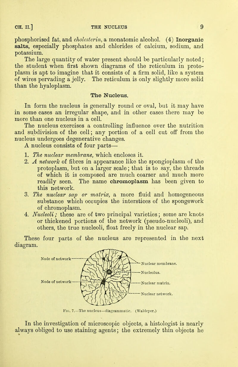 phosphorised fat, and cholesterin, a monatomic alcohol. (4) Inorganic salts, especially phosphates and chlorides of calcium, sodium, and potassium. The large quantity of water present should be particularly noted; the student when first shown diagrams of the reticulum in proto- plasm is apt to imagine that it consists of a firm solid, like a system of wires pervading a jelly. The reticulum is only slightly more solid than the hyaloplasm. In form the nucleus is generally round or oval, but it may have in some cases an irregular shape, and in other cases there may be more than one nucleus in a cell. The nucleus exercises a controlling influence over the nutrition and subdivision of the cell; any portion of a cell cut off from the nucleus undergoes degenerative changes. A nucleus consists of four parts— 1. The nuclear memhrane, which encloses it. 2. A network of fibres in appearance like the spongioplasm of the protoplasm, but on a larger scale; that is to say, the threads of which it is composed are much coarser and much more readily seen. The name chromoplasm has been given to this network. 3. The nuclear sap or matrix, a more fluid and homogeneous substance which occupies the interstices of the spongework of chromoplasm. 4. Nucleoli ; these are of two principal varieties; some are knots or thickened portions of the network (pseudo-nucleoli), and others, the true nucleoli, float freely in the nuclear sap. These four parts of the nucleus are represented in the next diagram. The Nucleus. Node of network- Node of network— Nuclear matrix. — Nucleolus. Nuclear network. Nuclear membrane. Fig. 7.—The nucleus—diagrammatic. (Waldeyer.) In the investigation of microscopic objects, a histologist is nearly always obliged to use staining agents; the extremely thin objects he