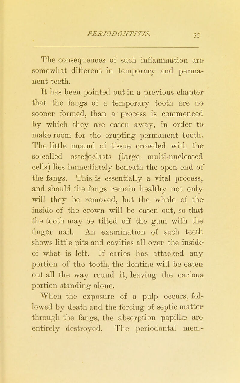 The consequences of such inflammation are- somewhat different in temporary and perma- nent teeth. It has been pointed out in a previous chapter that the fangs of a temporary tooth are no- sooner formed, than a process is commenced by which they are eaten away, in order to- make room for the erupting permanent tooth. The little mound of tissue crowded with the so-called ostecoclasts (large multi-nucleated cells) lies immediately beneath the open end of the fangs. This is essentially a vital process,, and should the fangs remain healthy not only will they be removed, but the whole of the inside of the crown will be eaten out, so that the tooth may be tilted off the gum with the finger nail. An examination of such teeth shows little pits and cavities all over the inside of what is left. If caries has attacked any portion of the tooth, the dentine will be eaten out all the way round it, leaving the carious portion standing alone. When the exposure of a pulp occurs, fol- lowed by death and the forcing of septic matter through the fangs, the absorption papillae are entirely destroyed. Tlie periodontal mem-