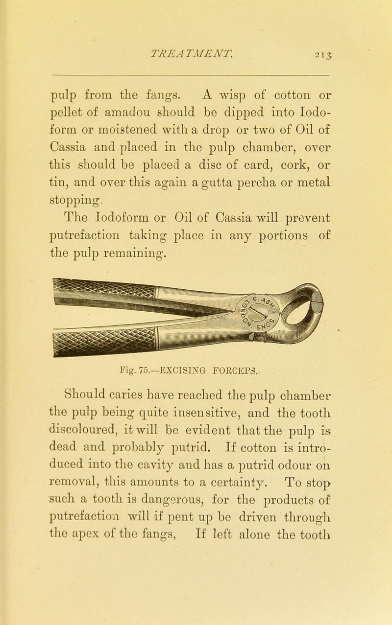 pulp from the fangs. A wisp of cotton or pellet of amadou should be dipped into Iodo- form or moistened with a drop or two of Oil of Cassia and j^laced in the pulp chamber, over this should be placed a disc of card, cork, or tin, and over this again a gutta percha or metal stopping. The Iodoform or Oil of Cassia will prevent putrefaction taking place in any portions of the pulp remaining. Fig. 75.—EXCISING FOECEPS. Should caries have reached the pulp chamber the pulp being quite insensitive, and the tooth discoloured, it will be evident that the pulp is dead and probably putrid. If cotton is intro- duced into the cavity and has a putrid odour on removal, this amounts to a certainty. To stop such a tooth is dangerous, for the products of putrefaction will if pent up be driven through the apex of the fangs, If left alone the tooth