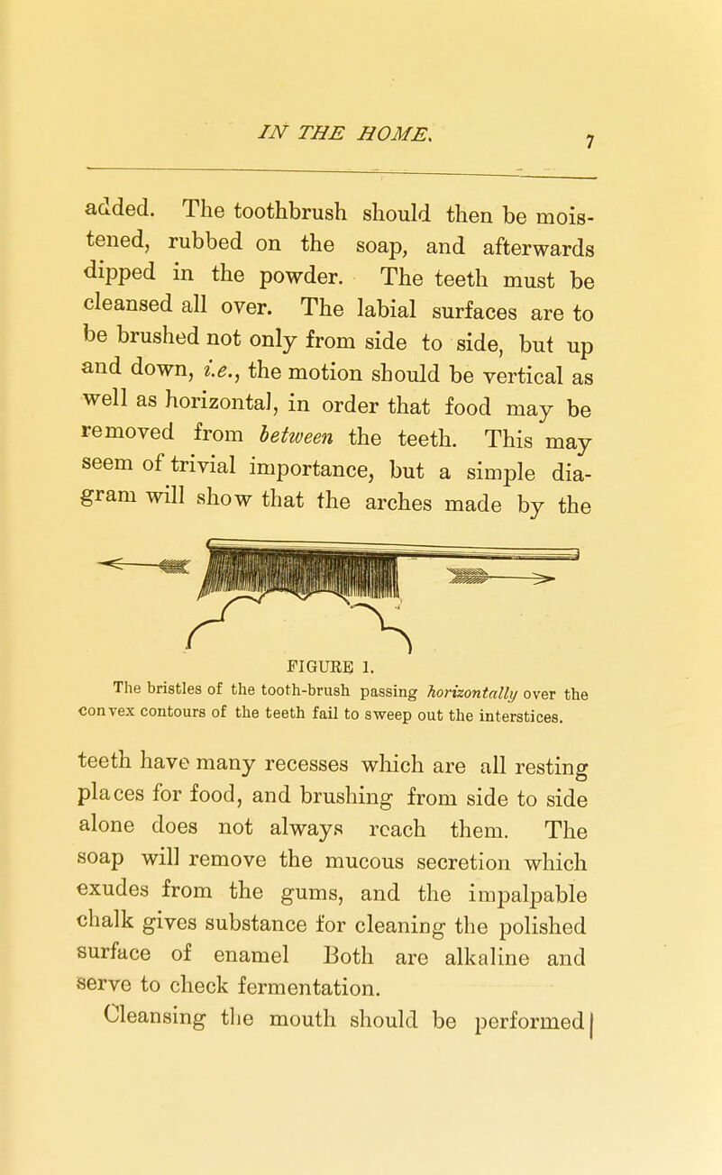 7 added. The toothbrush should then be mois- tened, rubbed on the soap, and afterwards dipped in the powder. The teeth must be cleansed all over. The labial surfaces are to be brushed not only from side to side, but up and down, i.e., the motion should be vertical as well as horizontal, in order that food may be removed from between the teeth. This may seem of trivial importance, but a simple dia- gram will show that the arches made by the FIGUEE 1. The bristles of the tooth-brush passing horizontally over the convex contours of the teeth fail to sweep out the interstices. teeth have many recesses which are all resting places for food, and brushing from side to side alone does not always reach them. The soap will remove the mucous secretion which exudes from the gums, and the impalpable chalk gives substance for cleaning the polished surface of enamel Both are alkaline and serve to check fermentation. Cleansing the mouth should be performed)