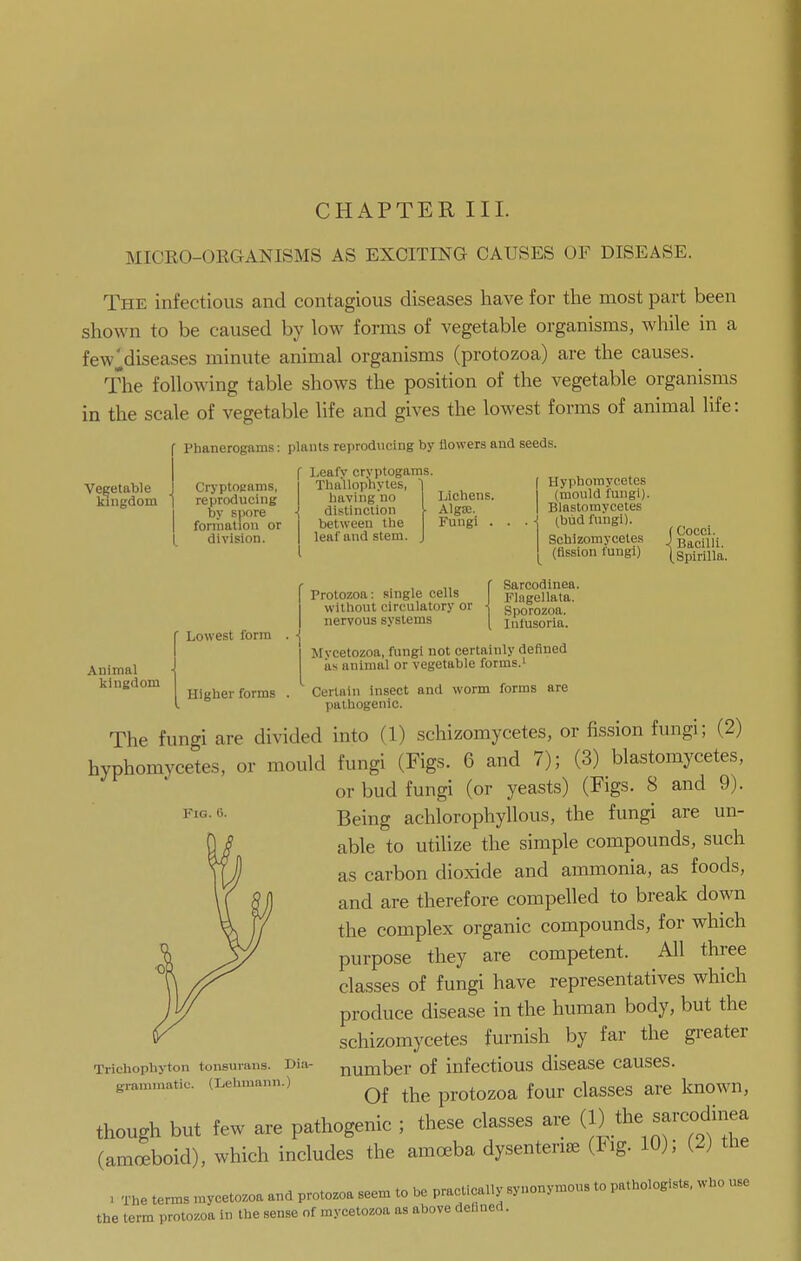 MICEO-ORGANISMS AS EXCITING CAUSES OF DISEASE. The infectious and contagious diseases have for the most part been shown to be caused by low forms of vegetable organisms, while in a few^diseases minute animal organisms (protozoa) are the causes. The following table shows the position of the vegetable organisms in the scale of vegetable life and gives the lowest forms of animal life: f Phanerogams: plants reproducing by flowers and seeds. Vegetable I kingdom 1 Cryptogams, reproducing by spore forrnalion or division. f Leafv cryptogams. TluUlophytes, 1 having no Lichens, distinction \ Algae, between the Fungi . leaf and stem. J Hyphomycetes (tnould fungi). Blastorayceles (bud fungi). Schizomycetes (fission fungi) (Cocci. ■I Bacilli. (Spirilla. ■ Lowest form . .j Protozoa: single cells without circulatory or nervous systems Sarcodinea. Flagellata. Sporozoa. Infusoria. Animal kingdom Higher forms . Mvcetozoa, fungi not certainly defined as animal or vegetable forms.' Certain insect and worm forms are pathogenic. Fig. 0. The fungi are divided into (1) schizomycetes, or fission fungi; (2) hyphomycetes, or mould fungi (Figs. 6 and 7); (3) blastomycetes, or bud fungi (or yeasts) (Figs. 8 and 9). Being achlorophyllous, the fungi are un- able to utilize the simple compounds, such as carbon dioxide and ammonia, as foods, and are therefore compelled to break down the complex organic compounds, for which purpose they are competent. All three classes of fungi have representatives which produce disease in the human body, but the schizomycetes furnish by far the greater number of infectious disease causes. Of the protozoa four classes are known, though but few are pathogenic ; these classes are (J) ^^^^ ^^^f (amoeboid), which includes the amoeba dysentense (Fig. 10); (2) the . The terms mycetozoa and protozoa seem to be practically synonymous to pathologists, who use the term protozoa in the sense of mycetozoa as above defined. Trichophyton tonsurans. iJia graminatic. (Lehmann.)