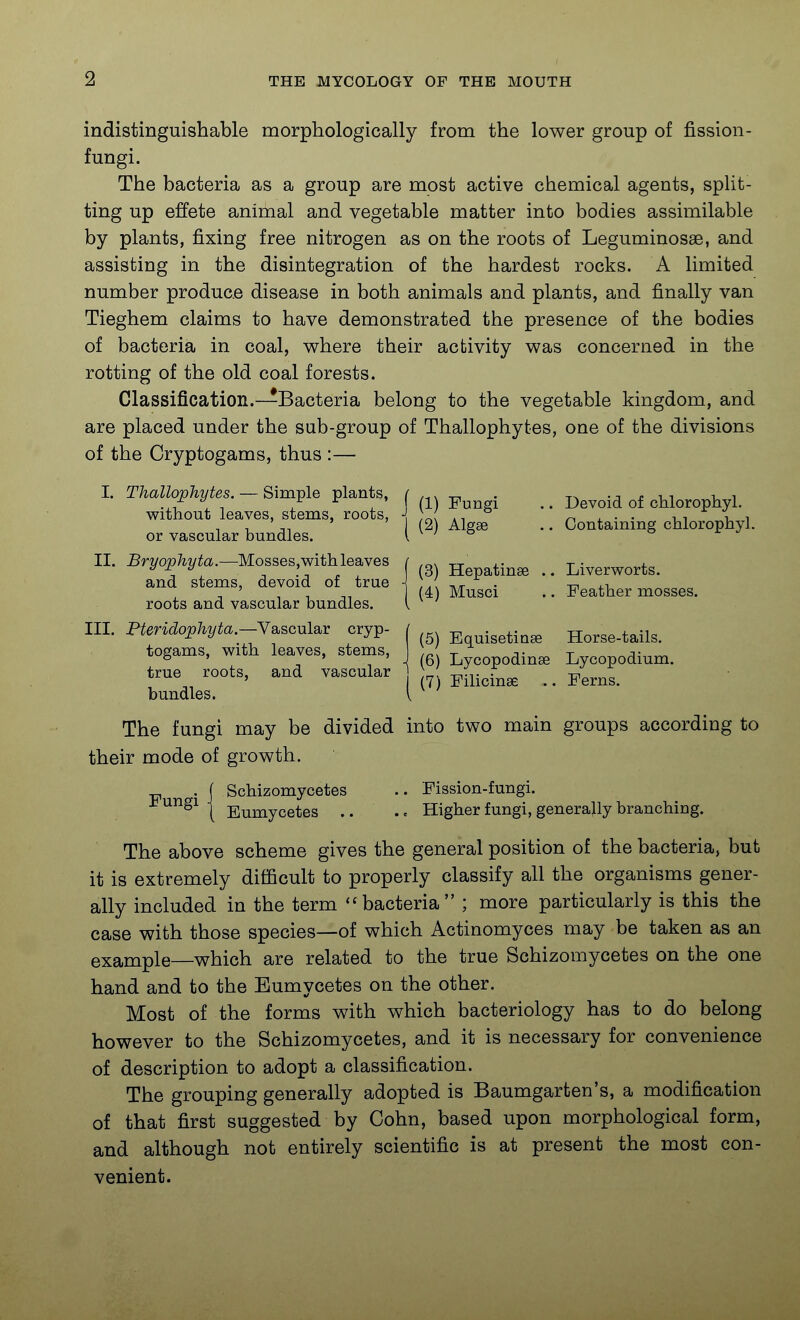 indistinguishable morphologically from the lower group of fission- fungi. The bacteria as a group are most active chemical agents, split- ting up effete animal and vegetable matter into bodies assimilable by plants, fixing free nitrogen as on the roots of Leguminosae, and assisting in the disintegration of the hardest rocks. A limited number produce disease in both animals and plants, and finally van Tieghem claims to have demonstrated the presence of the bodies of bacteria in coal, where their activity was concerned in the rotting of the old coal forests. Classification.—Bacteria belong to the vegetable kingdom, and are placed under the sub-group of Thallophytes, one of the divisions of the Cryptogams, thus :— I. Thallophytes. ~ Simi^le plants, ^ j,^ • without leaves, stems, roots, -j ^ or vascular bundles. i ' .. Devoid of chlorophyl. .. Containing chlorophyl. II. Bryophyta.—Mosses,with leaves and stems, devoid of true roots and vascular bundles. III. Pteridophyta.—Vascular cryp- togams, with leaves, stems, true roots, bundles. and vascular (3) Hepatinse .. Liverworts. (4) Musci .. Feather mosses. (5) Equisetinse Horse-tails. (6) Lycopodinse Lycopodium. (7) Filicinse .. Ferns. The fungi may be divided into two main groups according to their mode of growth. Fungi Schizomycetes .. Fission-fungi. Eumycetes .. Higher fungi, generally branching. The above scheme gives the general position of the bacteria, but it is extremely difficult to properly classify all the organisms gener- ally included in the term ''bacteria ; more particularly is this the case with those species—of which Actinomyces may be taken as an example—which are related to the true Schizomycetes on the one hand and to the Eumycetes on the other. Most of the forms with which bacteriology has to do belong however to the Schizomycetes, and it is necessary for convenience of description to adopt a classification. The grouping generally adopted is Baumgarten's, a modification of that first suggested by Cohn, based upon morphological form, and although not entirely scientific is at present the most con- venient.