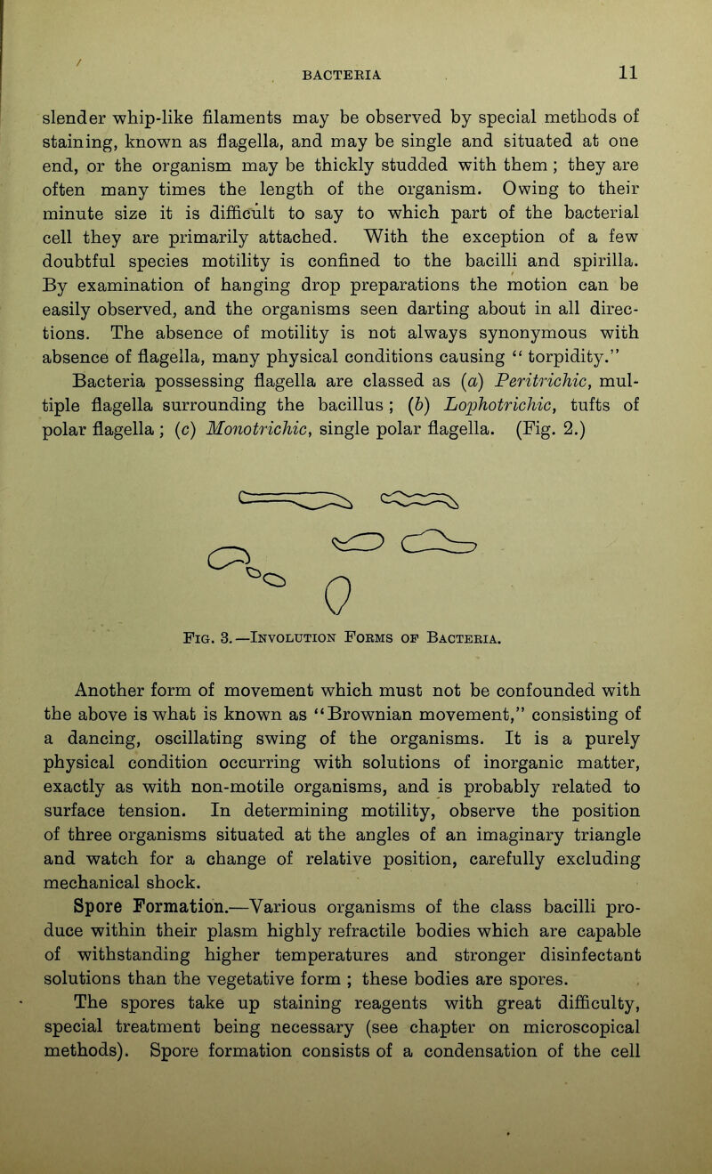 / BACTEEIA. 11 slender whip-like filaments may be observed by special methods of staining, known as flagella, and may be single and situated at one end, or the organism may be thickly studded with them ; they are often many times the length of the organism. Owiug to their minute size it is difficult to say to which part of the bacterial cell they are primarily attached. With the exception of a few doubtful species motility is confined to the bacilli and spirilla. By examination of hanging drop preparations the motion can be easily observed, and the organisms seen darting about in all direc- tions. The absence of motility is not always synonymous with absence of flagella, many physical conditions causing  torpidity. Bacteria possessing flagella are classed as {a) Peritrichic, mul- tiple flagella surrounding the bacillus ; (6) Lophotrichic, tufts of polar flagella ; (c) Monotrichic, single polar flagella. (Fig. 2.) Fig. 3.—Involution Forms of Bacteria. Another form of movement which must not be confounded with the above is what is known as Brownian movement, consisting of a dancing, oscillating swing of the organisms. It is a purely physical condition occurring with solutions of inorganic matter, exactly as with non-motile organisms, and is probably related to surface tension. In determining motility, observe the position of three organisms situated at the angles of an imaginary triangle and watch for a change of relative position, carefully excluding mechanical shock. Spore Formation.—Various organisms of the class bacilli pro- duce within their plasm highly refractile bodies which are capable of withstanding higher temperatures and stronger disinfectant solutions than the vegetative form ; these bodies are spores. The spores take up staining reagents with great difficulty, special treatment being necessary (see chapter on microscopical methods). Spore formation consists of a condensation of the cell