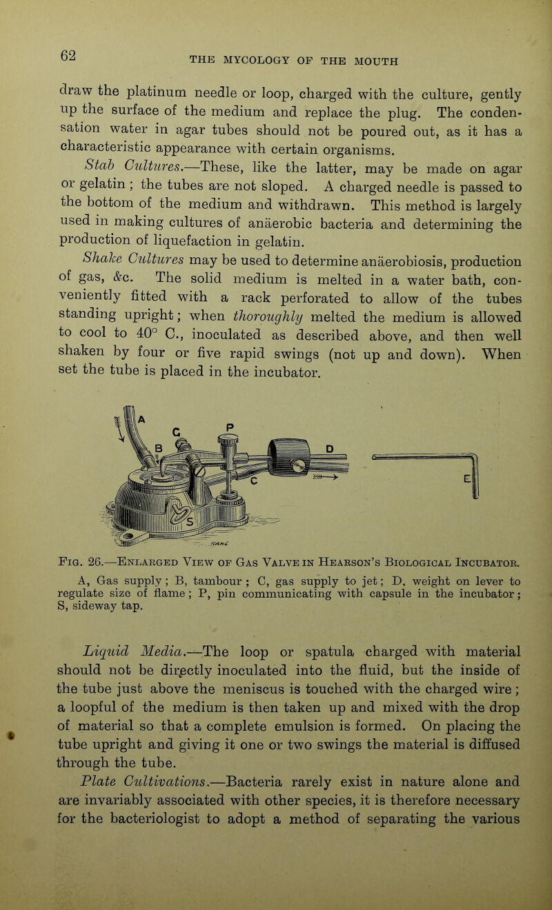 THE MYCOLOGY OF THE MOUTH draw the platinum needle or loop, charged with the culture, gently up the surface of the medium and replace the plug. The conden- sation water in agar tubes should not be poured out, as it has a characteristic appearance with certain organisms. Stab Cultures.—These, like the latter, may be made on agar or gelatin ; the tubes are not sloped. A charged needle is passed to the bottom of the medium and withdrawn. This method is largely used in making cultures of anaerobic bacteria and determining the production of liquefaction in gelatin. Shake Cultures may be used to determine anaerobiosis, production of gas, &c. The soUd medium is melted in a water bath, con- veniently fitted with a rack perforated to allow of the tubes standing upright; when thoroughly melted the medium is allowed to cool to 40° C, inoculated as described above, and then well shaken by four or five rapid swings (not up and down). When set the tube is placed in the incubator. Fig. 26.—Enlaeged View of Gas Valve in Heaeson's Biological Incubatoe. A, Gras supply; B, tambour ; C, gas supply to jet; D. weight on lever to regulate size of flame; P, pin communicating with capsule in the incubator; S, side way tap. Liquid Media.—The loop or spatula charged with material should not be dirpctly inoculated into the fluid, but the inside of the tube just above the meniscus is touched with the charged wire; a loopful of the medium is then taken up and mixed with the drop of material so that a complete emulsion is formed. On placing the tube upright and giving it one or two swings the material is diffused through the tube. Plate Cultivations.—^Bacteria rarely exist in nature alone and are invariably associated with other species, it is therefore necessary for the bacteriologist to adopt a method of separating the various