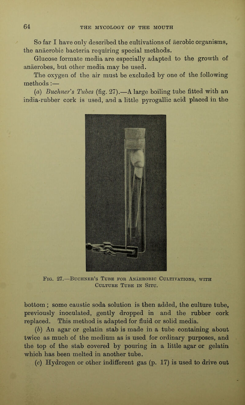 So far I have only described the cultivations of aerobic organisms, the anaerobic bacteria requiring special methods. Glucose formate media are especially adapted to the growth of anaerobes, but other media may be used. The oxygen of the air must be excluded by one of the following methods:— (a) Buchner's Tubes (fig. 27).—A large boiling tube fitted with an india-rubber cork is used, and a little pyrogallic acid placed in the Fig. 27.—Buchnee's Tube for Anaerobic Cultivations, with Culture Tube in Situ. bottom ; some caustic soda solution is then added, the culture tube, previously inoculated, gently dropped in and the rubber cork replaced. This method is adapted for fluid or solid media. (b) An agar or gelatin stab is made in a tube containing about twice as much of the medium as is used for ordinary purposes, and the top of the stab covered by pouring in a little agar or gelatin which has been melted in another tube. (c) Hydrogen or other indifferent gas (p. 17) is used to drive out