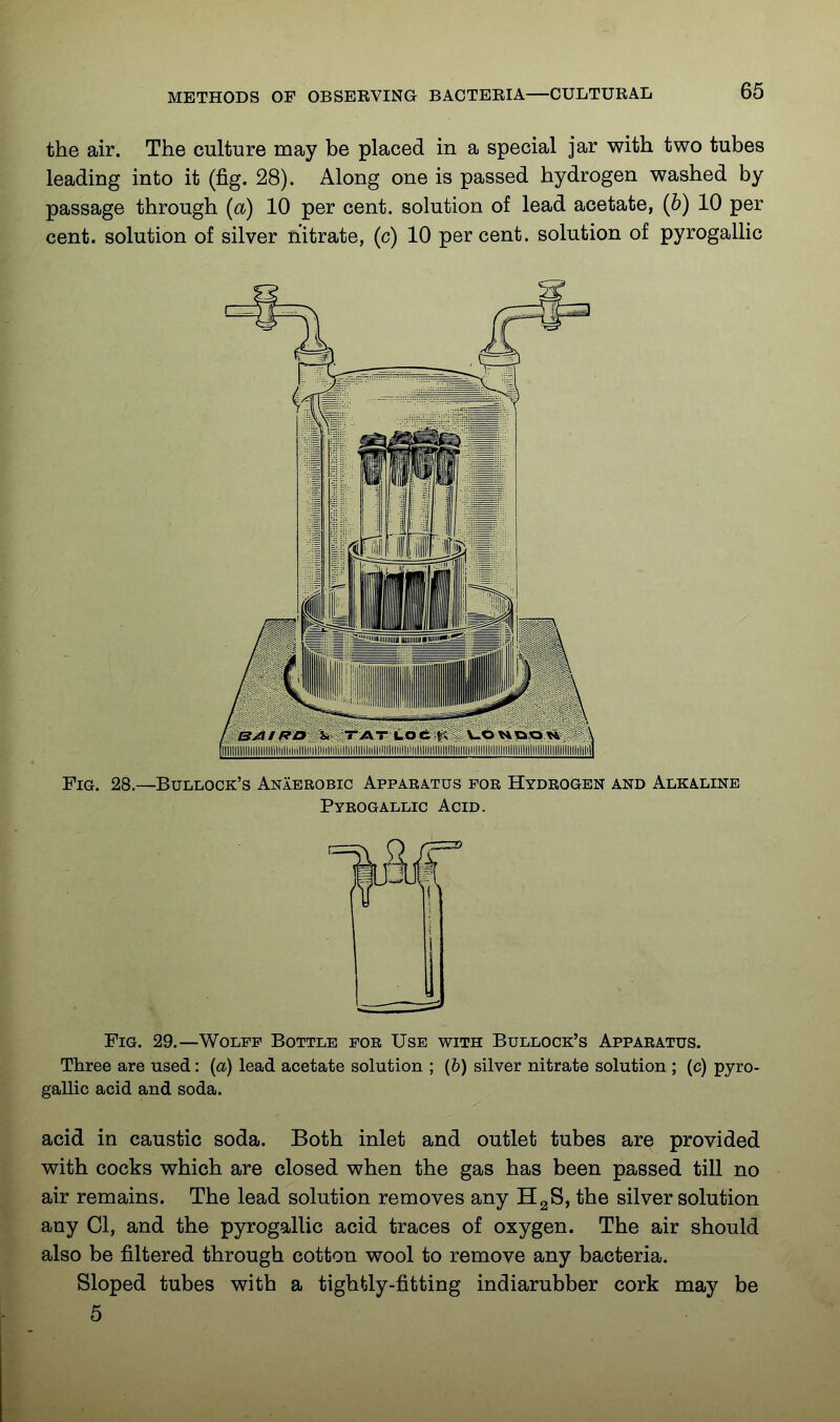 the air. The culture may be placed in a special jar with two tubes leading into it (fig. 28). Along one is passed hydrogen washed by passage through (a) 10 per cent, solution of lead acetate, {b) 10 per cent, solution of silver nitrate, (c) 10 percent, solution of pyrogalHc Fig. 29.—Wolff Bottle for Use with Bullock's Apparatus. Three are used: {a) lead acetate solution ; (6) silver nitrate solution ; (c) pyro- gallic acid and soda. acid in caustic soda. Both inlet and outlet tubes are provided with cocks which are closed when the gas has been passed till no air remains. The lead solution removes any HgS, the silver solution any CI, and the pyrogallic acid traces of oxygen. The air should also be filtered through cotton wool to remove any bacteria. Sloped tubes with a tightly-fitting indiarubber cork may be 5