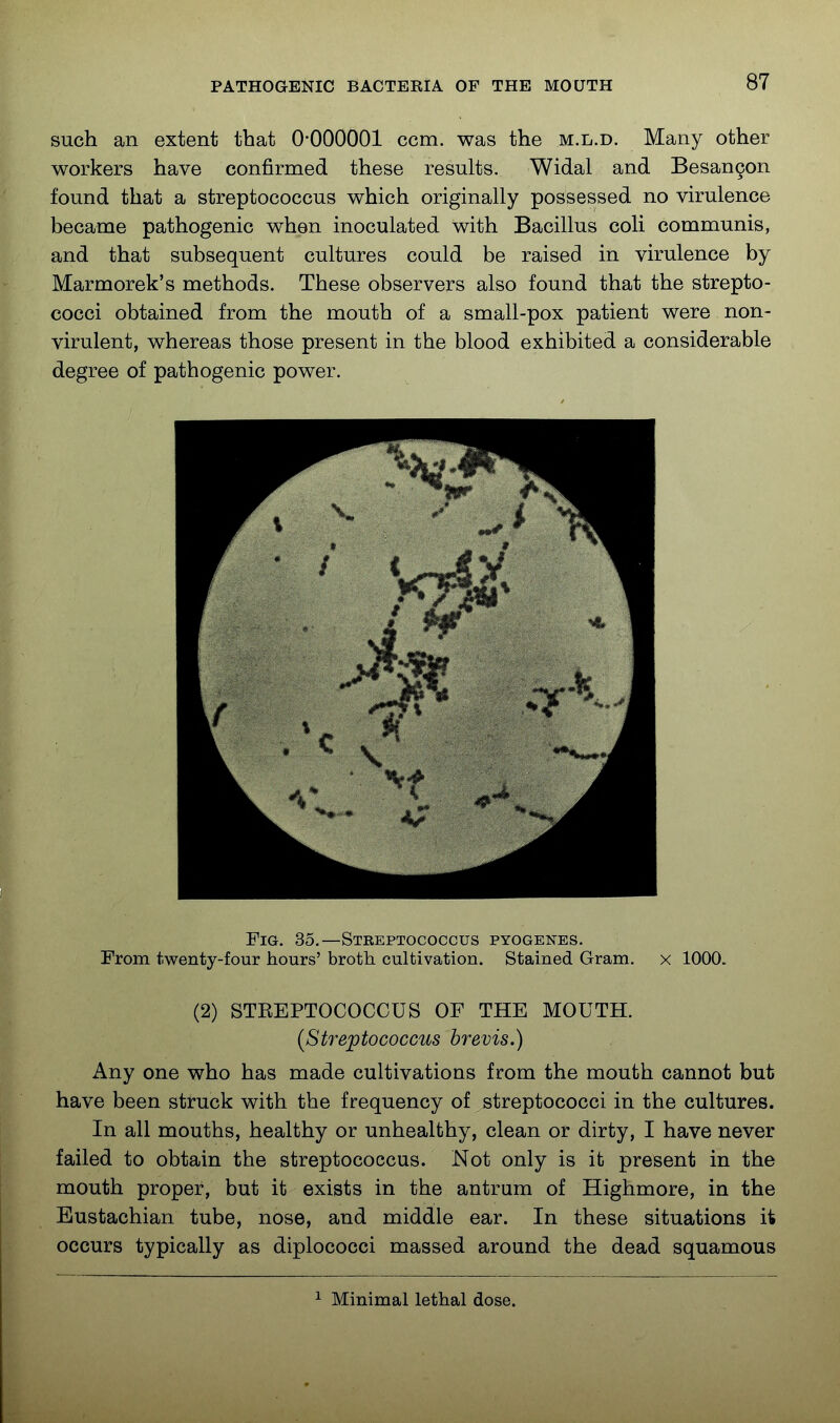 such an extent that 0-000001 ccm. was the m.l.d. Many other workers have confirmed these results. Widal and Besan9on found that a streptococcus which originally possessed no virulence became pathogenic when inoculated with Bacillus coli communis, and that subsequent cultures could be raised in virulence by Marmorek's methods. These observers also found that the strepto- cocci obtained from the mouth of a small-pox patient were non- virulent, whereas those present in the blood exhibited a considerable degree of pathogenic power. Fig. 35,—Streptococcus pyogenes. From twenty-four hours' broth cultivation. Stained Gram, x 1000. (2) STEEPTOCOCCUS OF THE MOUTH. {Streptococcus brevis.) Any one who has made cultivations from the mouth cannot but have been struck with the frequency of streptococci in the cultures. In all mouths, healthy or unhealthy, clean or dirty, I have never failed to obtain the streptococcus. Not only is it present in the mouth proper, but it exists in the antrum of Highmore, in the Eustachian tube, nose, and middle ear. In these situations it occurs typically as diplococci massed around the dead squamous Minimal lethal dose.