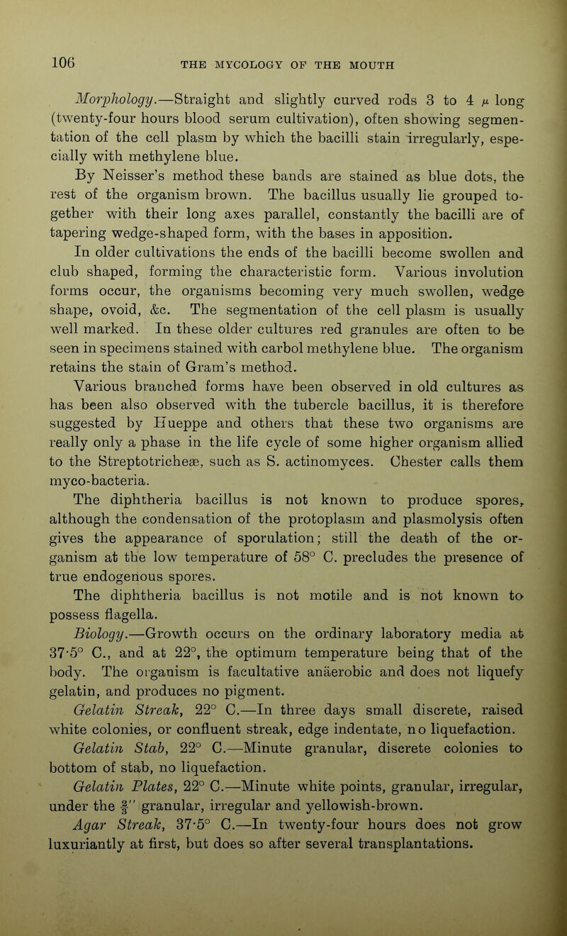 Morphology.—Straight and slightly curved rods 3 to 4 long (twenty-four hours blood serum cultivation), often showing segmen- tation of the cell plasm by which the bacilli stain irregularly, espe- cially with methylene blue. By Neisser's method these bands are stained as blue dots, the rest of the organism brown. The bacillus usually lie grouped to- gether with their long axes parallel, constantly the bacilli are of tapering wedge-shaped form, with the bases in apposition. In older cultivations the ends of the bacilli become swollen and club shaped, forming the characteristic form. Various involution forms occur, the organisms becoming very much swollen, wedge shape, ovoid, &c. The segmentation of the cell plasm is usually well marked. In these older cultures red granules are often to be seen in specimens stained with carbol methylene blue. The organism retains the stain of Gram's method. Various branched forms have been observed in old cultures as has been also observed with the tubercle bacillus, it is therefore suggested by IJueppe and others that these two organisms are really only a phase in the life cycle of some higher organism allied to the Btreptotrichese, such as S. actinomyces. Chester calls them myco-bacteria. The diphtheria bacillus is not known to produce spores,, although the condensation of the protoplasm and plasmolysis often gives the appearance of sporulation; still the death of the or- ganism at the low temperature of 58° C. precludes the presence of true endogenous spores. The diphtheria bacillus is not motile and is not known to possess flagella. Biology.—Growth occurs on the ordinary laboratory media at> 37*5° C., and at 22°, the optimum temperature being that of the body. The organism is facultative anaerobic and does not liquefy gelatin, and produces no pigment. Gelatin Streaky 22° C.—In three days small discrete, raised white colonies, or confluent streak, edge indentate, no liquefaction. Gelatin Stab, 22° 0.—Minute granular, discrete colonies to bottom of stab, no liquefaction. Gelatin Plates, 22° C.—Minute white points, granular, irregular, under the f granular, irregular and yellowish-brown. Agar Streak, 37-5° C.—In twenty-four hours does not grow luxuriantly at first, but does so after several transplantations.