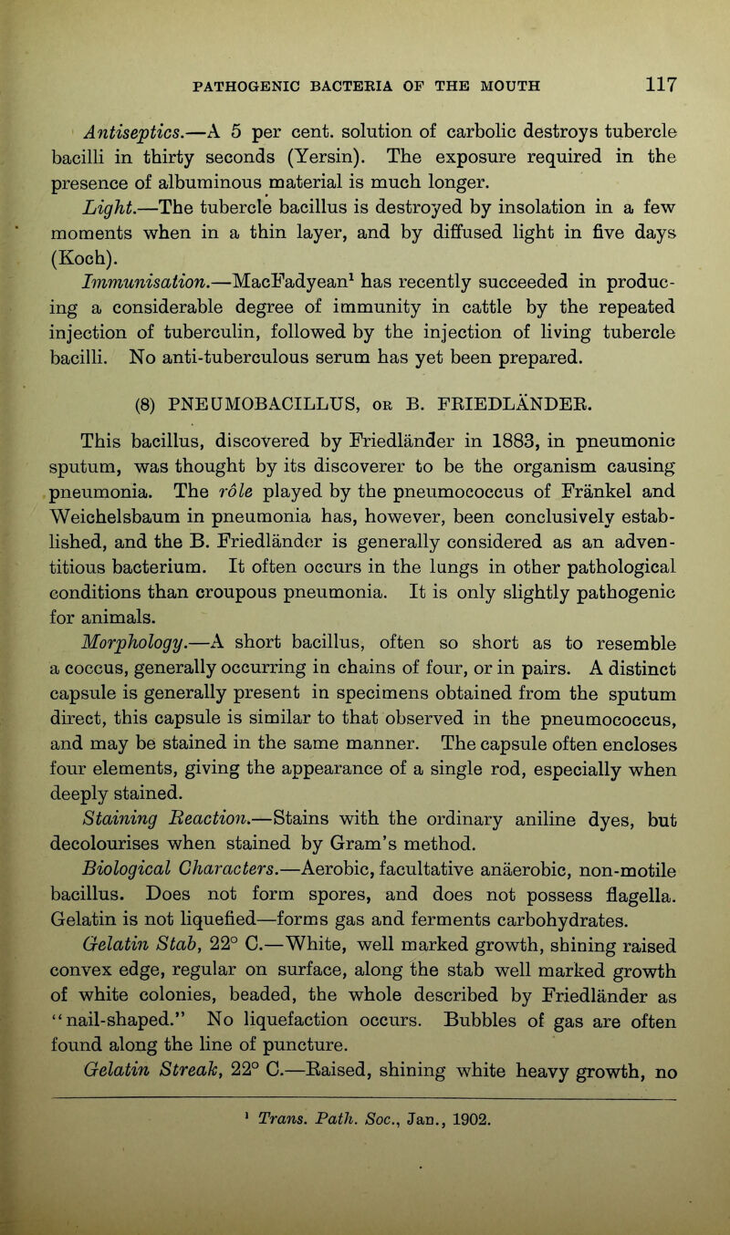 Antiseptics.—A 5 per cent, solution of carbolic destroys tubercle bacilli in thirty seconds (Yersin). The exposure required in the presence of albuminous material is much longer. Light.—The tubercle bacillus is destroyed by insolation in a few moments when in a thin layer, and by diffused light in five days (Koch). Immunisation.—MacFadyean^ has recently succeeded in produc- ing a considerable degree of immunity in cattle by the repeated injection of tuberculin, followed by the injection of living tubercle bacilli. No anti-tuberculous serum has yet been prepared. (8) PNEUMOBACILLUS, or B. FRIEDLANDER. This bacillus, discovered by Friedlander in 1883, in pneumonic sputum, was thought by its discoverer to be the organism causing pneumonia. The role played by the pneumococcus of Frankel and Weichelsbaum in pneumonia has, however, been conclusively estab- lished, and the B. Friedlander is generally considered as an adven- titious bacterium. It often occurs in the lungs in other pathological conditions than croupous pneumonia. It is only slightly pathogenic for animals. Morphology.—A short bacillus, often so short as to resemble a coccus, generally occurring in chains of four, or in pairs. A distinct capsule is generally present in specimens obtained from the sputum direct, this capsule is similar to that observed in the pneumococcus, and may be stained in the same manner. The capsule often encloses four elements, giving the appearance of a single rod, especially when deeply stained. Staining Beactio7i.—Stains with the ordinary aniline dyes, but decolourises when stained by Gram's method. Biological Characters.—Aerobic, facultative anaerobic, non-motile bacillus. Does not form, spores, and does not possess flagella. Gelatin is not liquefied—forms gas and ferments carbohydrates. Gelatin Stab, 22° G.—White, well marked growth, shining raised convex edge, regular on surface, along the stab well marked growth of white colonies, beaded, the whole described by Friedlander as  nail-shaped. No liquefaction occurs. Bubbles of gas are often found along the line of puncture. Gelatin Streak, 22° C.—Eaised, shining white heavy growth, no • Trans. Path. Soc, Jan., 1902.