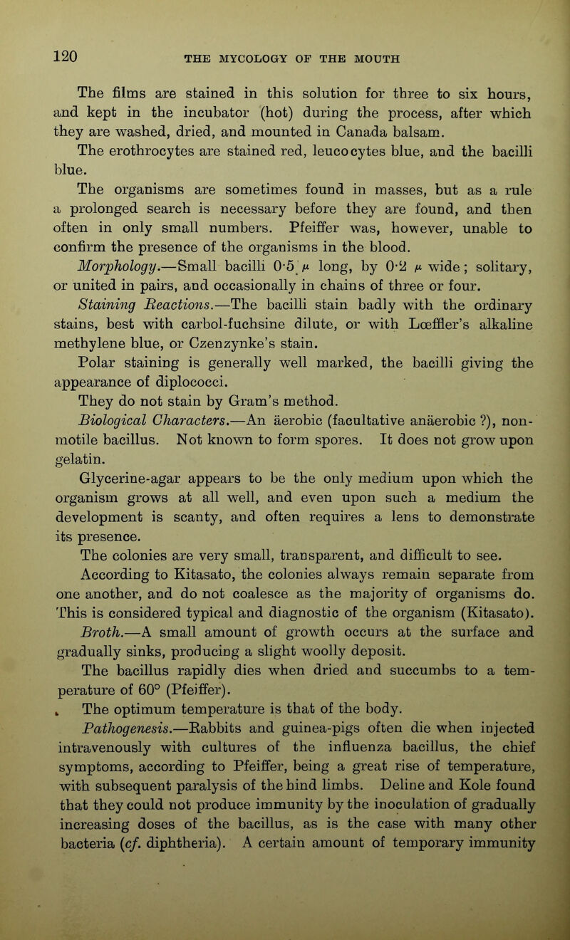 The films are stained in this solution for three to six hours, and kept in the incubator (hot) during the process, after which they are washed, dried, and mounted in Canada balsam. The erothrocytes are stained red, leucocytes blue, and the bacilli blue. The organisms are sometimes found in masses, but as a rule a prolonged search is necessary before they are found, and then often in only small numbers. Pfeiffer was, however, unable to confirm the presence of the organisms in the blood. Morphology.—Small bacilli 0-5 m long, by O-i! h- wide; solitary, or united in pairs, and occasionally in chains of three or four. Staining Beactions.—The bacilli stain badly with the ordinary stains, best with carbol-fuchsine dilute, or with Loeffler's alkaline methylene blue, or Czenzynke's stain. Polar staining is generally well marked, the bacilli giving the appearance of diplococci. They do not stain by Gram's method. Biological Characters.—An aerobic (facultative anaerobic?), non- motile bacillus. Not known to form spores. It does not grow upon gelatin. Glycerine-agar appears to be the only medium upon which the organism grows at all well, and even upon such a medium the development is scanty, and often requires a lens to demonstrate its presence. The colonies are very small, transparent, and difficult to see. According to Kitasato, the colonies always remain separate from one another, and do not coalesce as the majority of organisms do. This is considered typical and diagnostic of the organism (Kitasato). Broth.—A small amount of growth occurs at the surface and gradually sinks, producing a slight woolly deposit. The bacillus rapidly dies when dried and succumbs to a tem- perature of 60° (Pfeiffer). » The optimum temperature is that of the body. Pathogenesis.—Eabbits and guinea-pigs often die when injected intravenously with cultures of the influenza bacillus, the chief symptoms, according to Pfeiffer, being a great rise of temperature, with subsequent paralysis of the hind limbs. Deline and Kole found that they could not produce immunity by the inoculation of gradually increasing doses of the bacillus, as is the case with many other bacteria (c/. diphtheria). A certain amount of temporary immunity