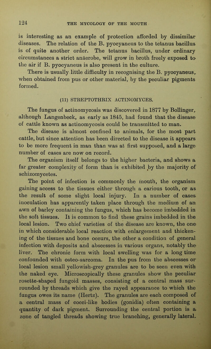 is interesting as an example of protection afforded by dissimilar diseases. The relation of the B. pyocyaneus to the tetanus bacillus- is of quite another order. The tetanus bacillus, under ordinary circumstances a strict anaerobe, will grow in broth freely exposed to- the air if B. pyocyaneus is also present in the culture. There is usually little difficulty in recognising the B. pyocyaneus,. when obtained from pus or other material, by the peculiar pigments formed. (11) STBEPTOTHEIX ACTINOMYCES. The fungus of actinomycosis was discovered in 1877 by Bollinger,, although Langenbeck, as early as 1845, had found that the disease of cattle known as actinomycosis could be transmitted to man. The disease is almost confined to animals, for the most part cattle, but since attention has been directed to the disease it appears to be more frequent in man than was at first supposed, and a large number of cases are now on record. The organism itself belongs to the higher bacteria, and shows a far greater complexity of form than is exhibited by the majority of schizomycetes. The point of infection is commonly the mouth, the organism gaining access to the tissues either through a carious tooth, or as the result of some slight local injury. In a number of cases inoculation has apparently taken place through the medium of an awn of barley containing the fungus, which has become imbedded in the soffc tissues. It is common to find these grains imbedded in the local lesion. Two chief varieties of the disease are known, the one in which considerable local reaction with enlargement and thicken- ing of the tissues and bone occurs, the other a condition of general infection with deposits and abscesses in various organs, notably the liver. The chronic form with local swelling was for a long time confounded with osteo-sarcoma. In the pus from the abscesses or local lesion small yellowish-grey granules are to be seen even with the naked eye. Microscopically these granules show the peculiar rosette-shaped fungoid masses, consisting of a central mass sur- rounded by threads which give the rayed appearance to which the fungus owes its name (Hertz). The granules are each composed of a central mass of cocci-like bodies (gonidia) often containing a quantity of dark pigment. Surrounding the central portion is a. zone of tangled threads showing true branching, generally lateral.