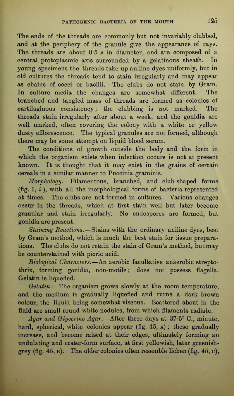 The ends of the threads are commonly but not invariably clubbed, and at the periphery of the granule give the appearance of rays. The threads are about 0*5 m in diameter, and are composed of a central protoplasmic axis surrounded by a gelatinous sheath. In young specimens the threads take up aniline dyes uniformly, but in old cultures the threads tend to stain irregularly and may appear as chains of cocci or bacilli. The clubs do not stain by Gram. In culture media the changes are somewhat different. The branched and tangled mass of threads are formed as colonies of cartilaginous consistency; the clubbing is not marked. The threads stain irregularly -after about a week, and the gonidia are well marked, often covering the colony with a white or yellow dusty efflorescence. The typical granules are not formed, although there may be some attempt on liquid blood serum. The conditions of growth outside the body and the form in which the organism exists when infection occurs is not at present known. It is thought that it may exist in the grains of certain cereals in a similar manner to Puccinia graminis. Morphology.—Filamentous, branched, and club-shaped forms (fig. 1, with all the morphological forms of bacteria represented at times. The clubs are not formed in cultures. Various changes occur in the threads, which at first stain well but later become granular and stain irregularly. No endospores are formed, but gonidia are present. Staining Reactions.—Stains with the ordinary aniline dyes, best by Gram's method, which is much the best stain for tissue prepara- tions. The clubs do not retain the stain of Gram's method, but may be counterstained with picric acid. Biological Characters.—An aerobic facultative anaerobic strepto- thrix, forming gonidia, non-motile; does not possess flagella. Gelatin is liquefied. Gelatin.—The organism grows slowly at the room temperature, and the medium is gradually liquefied and turns a dark brown 'colour, the liquid being somewhat viscous. Scattered about in the fluid are small round white nodules, from which filaments radiate. Agar and Glycerine Agar.—After three days at 37-5° C., minute, hard, spherical, white colonies appear (fig. 45, a) ; these gradually increase, and become raised at their edges, ultimately forming an undulating and crater-form surface, at first yellowish, later greenish- grey (fig. 45, b). The older colonies often resemble lichen (fig. 45, c).