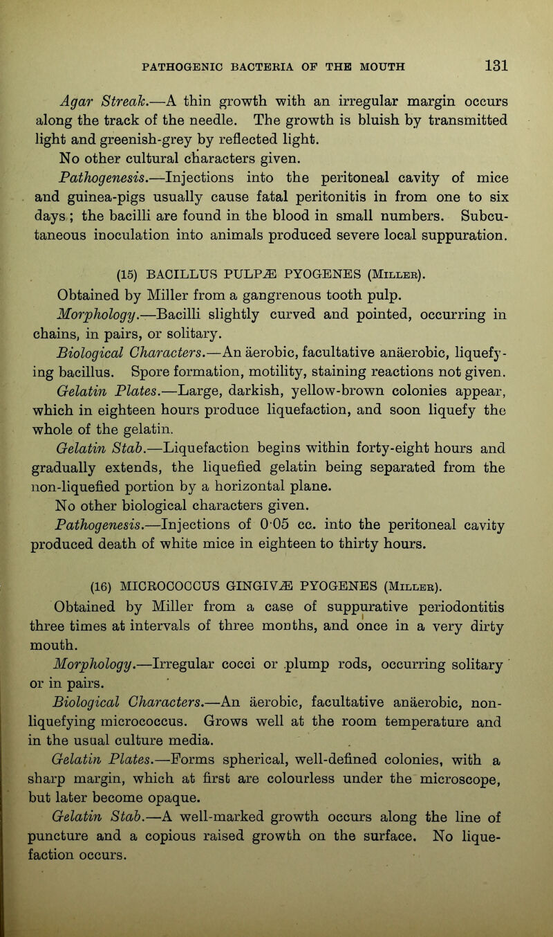 Agar Streak.—A thin growth with an irregular margin occurs along the track of the needle. The growth is bluish by transmitted light and greenish-grey by reflected light. No other cultural characters given. Pathogenesis.—Injections into the peritoneal cavity of mice and guinea-pigs usually cause fatal peritonitis in from one to six days ; the bacilli are found in the blood in small numbers. Subcu- taneous inoculation into animals produced severe local suppuration. (15) BACILLUS PULP^ PYOGENES (Milleb). Obtained by Miller from a gangrenous tooth pulp. Morphology.—Ba.ci\li slightly curved and pointed, occurring in chains, in pairs, or solitary. Biological Characters.—Anaerobic, facultative anaerobic, liquefy- ing bacillus. Spore formation, motility, staining reactions not given. Gelatin Plates.—Large, darkish, yellow-brown colonies appear, which in eighteen hours produce liquefaction, and soon liquefy the whole of the gelatin. Gelatin Stab.—Liquefaction begins within forty-eight hours and gradually extends, the liquefied gelatin being separated from the non-liquefied portion by a horizontal plane. No other biological characters given. Pathogenesis.—Injections of 0 05 cc. into the peritoneal cavity produced death of white mice in eighteen to thirty hours. (16) MICROCOCCUS GINGIVA PYOGENES (Millee). Obtained by Miller from a case of suppurative periodontitis three times at intervals of three months, and once in a very dirty mouth. Morphology.—Irregular cocci or .plump rods, occurring solitary or in pairs. Biological Characters.—An aerobic, facultative anaerobic, non- liquefying micrococcus. Grows well at the room temperature and in the usual culture media. Gelatin Plates.—Forms spherical, well-defined colonies, with a sharp margin, which at first are colourless under the microscope, but later become opaque. Gelatin Stab.—A well-marked growth occurs along the line of puncture and a copious raised growth on the surface. No lique- faction occurs.