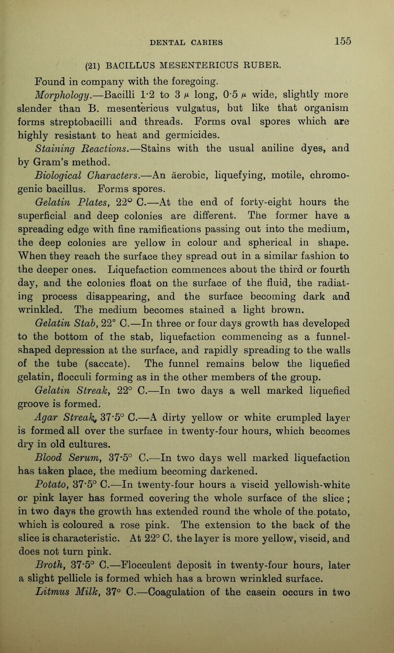 (21) BACILLUS MESENTERICUS RUBER. Found in company with the foregoing. Morphology.—BacilU 1-2 to 3 ^ long, 0*5 wide, slightly more slender than B. mesentericus vulgatus, but like that organism forms streptobacilli and threads. Forms oval spores which are highly resistant to heat and germicides. Staining Reactions.—Stains with the usual aniline dyes, and by Gram's method. Biological Characters.—An aerobic, liquefying, motile, chromo- genic bacillus. Forms spores. Gelatin Plates, 22° C.—kt the end of forty-eight hours the superficial and deep colonies are different. The former have a spreading edge with fine ramifications passing out into the medium, the deep colonies are yellow in colour and spherical in shape. When they reach the surface they spread out in a similar fashion to the deeper ones. Liquefaction commences about the third or fourth day, and the colonies float on the surface of the fluid, the radiat- ing process disappearing, and the surface becoming dark and wrinkled. The medium becomes stained a light brown. Gelatin Stab, 22° C.—In three or four days growth has developed to the bottom of the stab, liquefaction commencing as a funnel- shaped depression at the surface, and rapidly spreading to the walls of the tube (saccate). The funnel remains below the liquefied gelatin, flocculi forming as in the other members of the group. Gelatin Streak, 22° C.—In two days a well marked liquefied groove is formed. Agar Streak, 37*5° C.—A dirty yellow or white crumpled layer is formed all over the surface in twenty-four hours, which becomes dry in old cultures. Blood Serum, 37'5° C.—In two days well marked liquefaction has taken place, the medium becoming darkened. Potato, 37*5° C.—In twenty-four hours a viscid yellowish-white or pink layer has formed covering the whole surface of the slice ; in two days the growth has extended round the whole of the potato, which is coloured a rose pink. The extension to the back of the slice is characteristic. At 22° C. the layer is more yellow, viscid, and does not turn pink. Broth, 37*5° C.—Flocculent deposit in twenty-four hours, later a slight pellicle is formed which has a brown wrinkled surface. Litmus Milk, 37° C.—Coagulation of the casein occurs in two