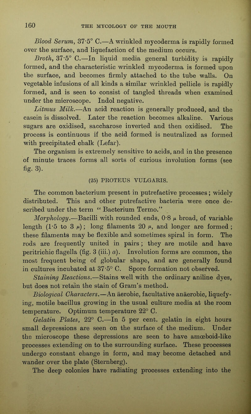 Blood Serum, 37-5° C.—A wrinkled mycoderma is rapidly formed over the surface, and liquefaction of the medium occurs. Brothf 37*5° C.—In liquid media general turbidity is rapidly formed, and the characteristic wrinkled mycoderma. is formed upon the surface, and becomes firmly attached to the tube walls. On vegetable infusions of all kinds a similar wrinkled pellicle is rapidly formed, and is seen to consist of tangled threads when examined under the microscope. Indol negative. Litmus Milk.—An acid reaction is generally produced, and the casein is dissolved. Later the reaction becomes alkaline. Various sugars are oxidised, saccharose inverted and then oxidised. The process is continuous if the acid formed is neutralized as formed with precipitated chalk (Lefar). The organism is extremely sensitive to acids, and in the presence of minute traces forms all sorts of curious involution forms (see fig. 3). (25) PROTEUS VULGARIS. The common bacterium present in putrefactive processes ; widely distributed. This and other putrefactive bacteria were once de- scribed under the term  Bacterium Termo. Morphology.—Bacilli with rounded ends, 0*8 /x broad, of variable length (1-5 to 3 ; long filaments 20 z^, and longer are formed ; these filaments may be flexible and sometimes spiral in form. The rods are frequently united in pairs; they are motile and have peritrichic flagella (fig. 3 (iii.) a). Involution forms are common, the most frequent being of globular shape, and are generally found in cultures incubated at 37*5° C. Spore formation not observed. Staining Reactions.—Stains well with the ordinary aniline dyes, but does not retain the stain of Gram's method. Biological Characters.—An aerobic, facultative anaerobic, liquefy- ing, motile bacillus growing in the usual culture media at the room temperature. Optimum temperature 22° C. Gelatin Plates, 22° C.—In 5 per cent, gelatin in eight hours small depressions are seen on the surface of the medium. Under the microscope these depressions are seen to have amoeboid-like processes extending on to the surrounding surface. These processes undergo constant change in form, and may become detached and wander over the plate (Sternberg). The deep colonies have radiating processes extending into the