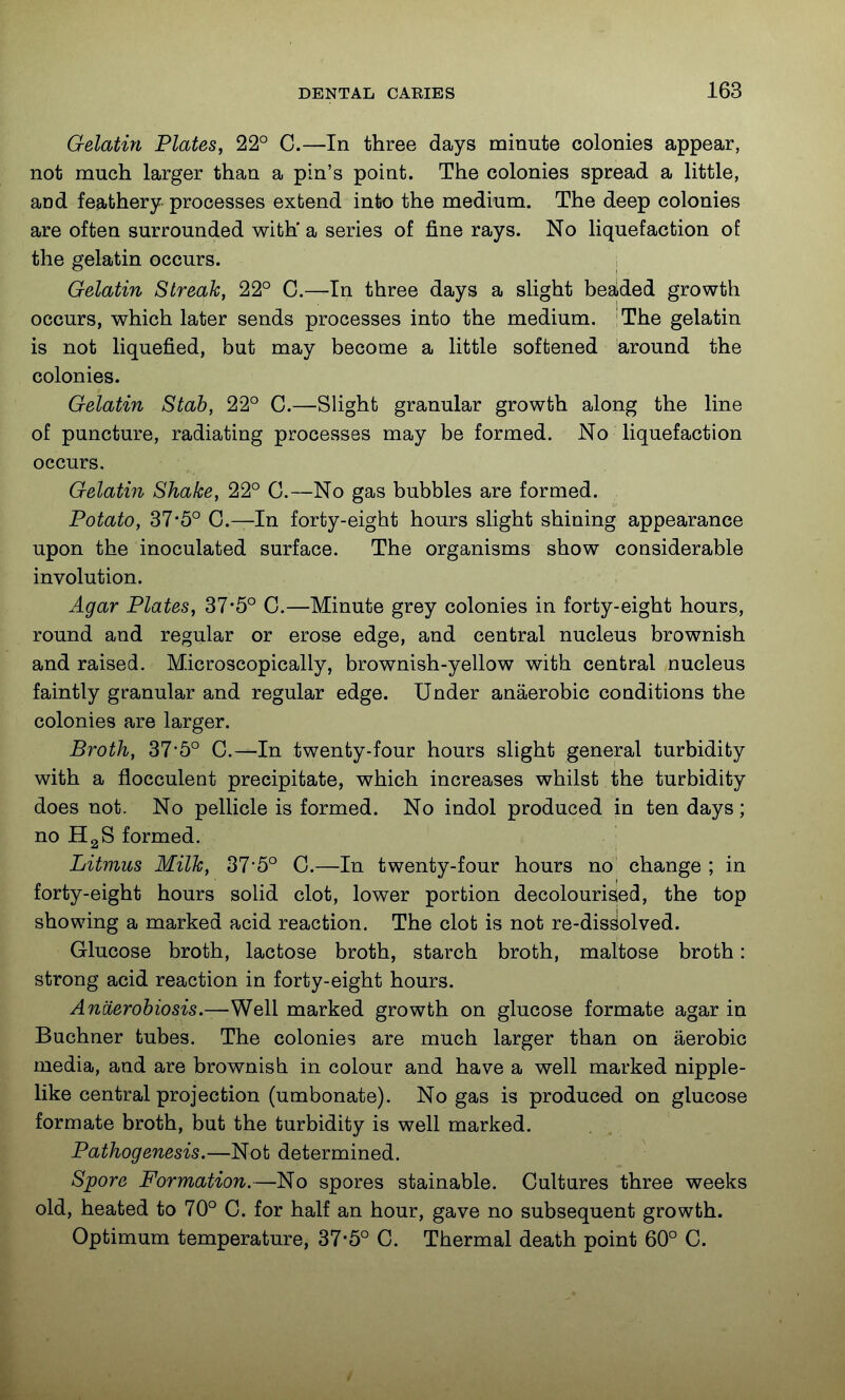 Gelatin Plates, 22° C.—In three days minute colonies appear, not much larger than a pin's point. The colonies spread a little, and feathery processes extend into the medium. The deep colonies are often surrounded with' a series of fine rays. No liquefaction of the gelatin occurs. Gelatin Streak, 22° C.—In three days a slight beaded growth occurs, which later sends processes into the medium. The gelatin is not liquefied, but may become a little softened around the colonies. Gelatin Stab, 22° C.—Slight granular growth along the line of puncture, radiating processes may be formed. No liquefaction occurs. Gelatin Shake, 22° C.—No gas bubbles are formed. Potato, 37*5° C.—In forty-eight hours slight shining appearance upon the inoculated surface. The organisms show considerable involution. Agar Plates, 37*5° C.—Minute grey colonies in forty-eight hours, round and regular or erose edge, and central nucleus brownish and raised. Microscopically, brownish-yellow with central nucleus faintly granular and regular edge. Under anaerobic conditions the colonies are larger. Broth, 37*5° C—In twenty-four hours slight general turbidity with a flocculent precipitate, which increases whilst the turbidity does not. No pellicle is formed. No indol produced in ten days; no HgS formed. Litmus Milk, 37*5° C.—In twenty-four hours no change ; in forty-eight hours solid clot, lower portion decolourised, the top showing a marked acid reaction. The clot is not re-dis^olved. Glucose broth, lactose broth, starch broth, maltose broth: strong acid reaction in forty-eight hours. Anaerohiosis.—Well marked growth on glucose formate agar in Buchner tubes. The colonies are much larger than on aerobic media, and are brownish in colour and have a well marked nipple- like central projection (umbonate). No gas is produced on glucose formate broth, but the turbidity is well marked. Pathogenesis.—Not determined. Spore Formation.—No spores stainable. Cultares three weeks old, heated to 70° C. for half an hour, gave no subsequent growth. Optimum temperature, 37-5° C. Thermal death point 60° C.