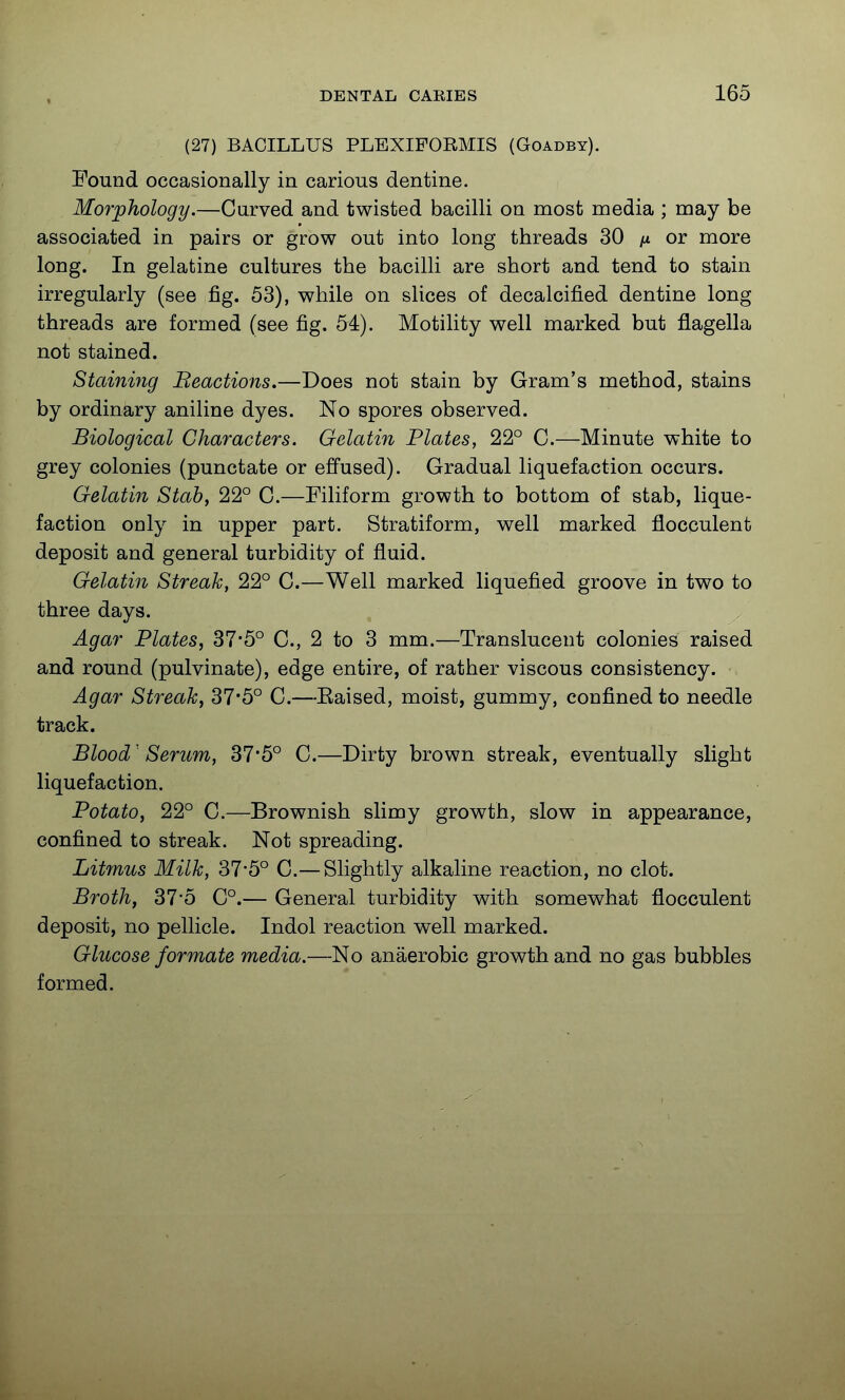 (27) BACILLUS PLEXIFORMIS (Goadby). Found occasionally in carious dentine. Morphology.—Curved and twisted bacilli on most media ; may be associated in pairs or grow out into long threads 30 ix or more long. In gelatine cultures the bacilli are short and tend to stain irregularly (see fig. 53), while on slices of decalcified dentine long threads are formed (see fig. 54). Motility well marked but flagella not stained. Staining Beactions.—Does not stain by Gram's method, stains by ordinary aniline dyes. No spores observed. Biological Characters. Gelatin Plates, 22° C.—Minute white to grey colonies (punctate or effused). Gradual liquefaction occurs. Gelatin Stab, 22° C.—Filiform growth to bottom of stab, lique- faction only in upper part. Stratiform, well marked flocculent deposit and general turbidity of fluid. Gelatin Streak, 22° C.—Well marked liquefied groove in two to three days. Agar Plates, 37-5° C, 2 to 3 mm.—Translucent colonies raised and round (pulvinate), edge entire, of rather viscous consistency. Agar Streak, 37*5° C.—Eaised, moist, gummy, confined to needle track. BloodSerum, 37*5° C.—Dirty brown streak, eventually slight liquefaction. Potato, 22° C.—Brownish slimy growth, slow in appearance, confined to streak. Not spreading. Litfnus Milk, 37-5° C.— Slightly alkaline reaction, no clot. Broth, 31 b C°.— General turbidity with somewhat flocculent deposit, no pellicle. Indol reaction well marked. Glucose formate media.—No anaerobic growth and no gas bubbles formed.