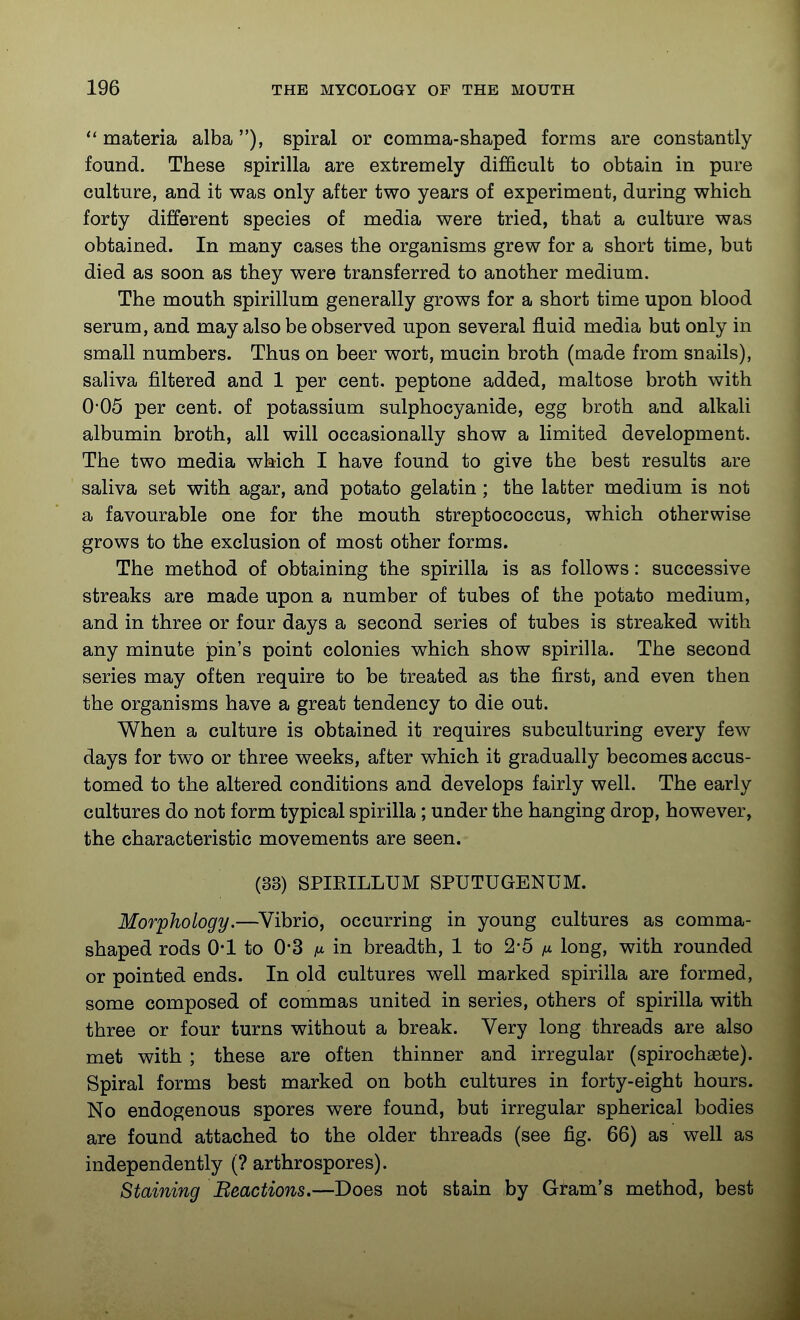 materia alba), spiral or comma-shaped forms are constantly found. These spirilla are extremely difficult to obtain in pure culture, and it was only after two years of experiment, during which forty different species of media were tried, that a culture was obtained. In many cases the organisms grew for a short time, but died as soon as they were transferred to another medium. The mouth spirillum generally grows for a short time upon blood serum, and may also be observed upon several fluid media but only in small numbers. Thus on beer wort, mucin broth (made from snails), saliva filtered and 1 per cent, peptone added, maltose broth with 0-05 per cent, of potassium sulphocyanide, egg broth and alkali albumin broth, all will occasionally show a limited development. The two media which I have found to give the best results are saliva set with agar, and potato gelatin; the labter medium is not a favourable one for the mouth streptococcus, which otherwise grows to the exclusion of most other forms. The method of obtaining the spirilla is as follows: successive streaks are made upon a number of tubes of the potato medium, and in three or four days a second series of tubes is streaked with any minute pin's point colonies which show spirilla. The second series may often require to be treated as the first, and even then the organisms have a great tendency to die out. When a culture is obtained it requires subculturing every few days for two or three weeks, after which it gradually becomes accus- tomed to the altered conditions and develops fairly well. The early cultures do not form typical spirilla; under the hanging drop, however, the characteristic movements are seen. (33) SPIRILLUM SPUTUGENUM. Morphology.—^Vibrio, occurring in young cultures as comma- shaped rods O'l to 0*3 /A in breadth, 1 to 2-5 long, with rounded or pointed ends. In old cultures well marked spirilla are formed, some composed of commas united in series, others of spirilla with three or four turns without a break. Very long threads are also met with ; these are often thinner and irregular (spirochaete). Spiral forms best marked on both cultures in forty-eight hours. No endogenous spores were found, but irregular spherical bodies are found attached to the older threads (see fig. 66) as well as independently (? arthrospores). Staining Eeactions,—Does not stain by Gram's method, best