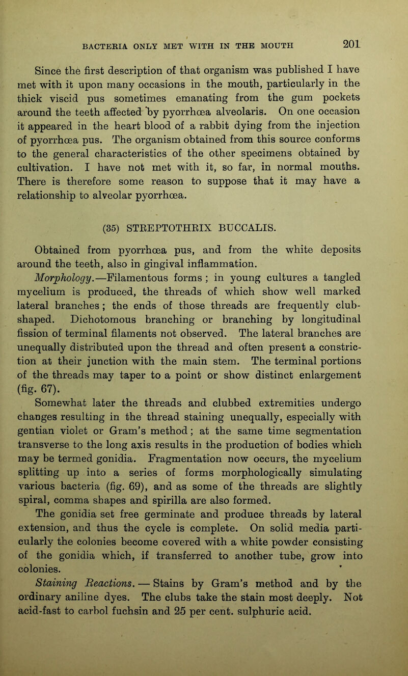 Since the first description of that organism was published I have met with it upon many occasions in the mouth, particularly in the thick viscid pus sometimes emanating from the gum pockets around the teeth affected 'by pyorrhoea alveolaris. On one occasion it appeared in the heart blood of a rabbit dying from the injection of pyorrhoea pus. The organism obtained from this source conforms to the general characteristics of the other specimens obtained by cultivation. I have not met with it, so far, in normal mouths. There is therefore some reason to suppose that it may have a relationship to alveolar pyorrhoea. (35) STEEPTOTHEIX BUCCALIS. Obtained from pyorrhoea pus, and from the white deposits around the teeth, also in gingival inflammation. Morphology.—Filamentous forms ; in young cultures a tangled mycelium is produced, the threads of which show well marked lateral branches; the ends of those threads are frequently club- shaped. Dichotomous branching or branching by longitudinal fission of terminal filaments not observed. The lateral branches are unequally distributed upon the thread and often present a constric- tion at their junction with the main stem. The terminal portions of the threads may taper to a point or show distinct enlargement (fig. 67). Somewhat later the threads and clubbed extremities undergo changes resulting in the thread staining unequally, especially with gentian violet or Gram's method; at the same time segmentation transverse to the long axis results in the production of bodies which may be termed gonidia. Fragmentation now occurs, the mycelium splitting up into a series of forms morphologically simulating various bacteria (fig. 69), and as some of the threads are slightly spiral, comma shapes and spirilla are also formed. The gonidia set free germinate and produce threads by lateral extension, and thus the cycle is complete. On solid media parti- cularly the colonies become covered with a white powder consisting of the gonidia which, if transferred to another tube, grow into colonies. Staining Beactions. — Stains by Gram's method and by the ordinary aniline dyes. The clubs take the stain most deeply. Not acid-fast to carbol fuchsin and 25 per cent, sulphuric acid.