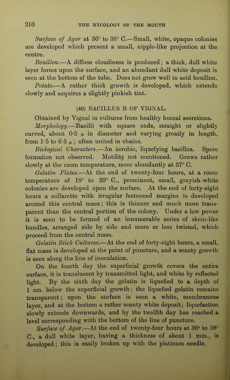 Surface of Agar at 36° to 38° C.—Small, white, opaque colonies are developed which present a small, nipple-like projection at the centre. Bouillon.—A diffuse cloudiness is produced; a thick, dull white layer forms upon the surface, and an abundant dull white deposit is seen at the bottom of the tube. Does not grow well in acid bouillon. Potato.—A rather thick growth is developed, which extends slowly and acquires a slightly pinkish tint. (40) BACILLUS B OF VIGNAL. Obtained by Vignal in cultures from healthy buccal secretions. Morphology.—Bacilli with square ends, straight or slightly curved, about 0-5 /* in diameter and varying greatly in length, from 1-5 to 6*5 ju ; often united in chains. Biological Characters.—An aerobic, liquefying bacillus. Spore formation not observed. Motility not mentioned. Grows rather slowly at the room temperature, more abundantly at 37° C. Gelatin Plates.—At the end of twenty-four hours, at a room temperature of 18° to 20° C, prominent, small, grayish-white colonies are developed upon the surface. At the end of forty-eight hours a collarette with irregular festooned margins is developed around this central mass; this is thinner and much more trans- parent than the central portion of the colony. Under a low power it is seen to be formed of an innumerable series of skein-like bundles, arranged side by side and more or less twisted, which proceed from the central mass. Gelatin Stick Cultures.—At the end of forty-eight hours, a small, flat mass is developed at the point of puncture, and a scanty growth is seen along the line of inoculation. On the fourth day the superficial growth covers the entire surface, it is translucent by transmitted light, and white by reflected light. By the sixth day the gelatin is liquefied to a depth of 1 cm. below the superficial growth; the liquefied gelatin remains transparent; upon the surface is seen a white, membranous layer, and at the bottom a rather scanty white deposit; liquefaction slowly extends downwards, and by the twelfth day has reached a level corresponding with the bottom of the line of puncture. Surface of Agar.—At the end of twenty-four hours at 36° to 38° 0., a dull white layer, having a thickness of about 1 mm., is developed; this is easily broken up with the platinum needle.