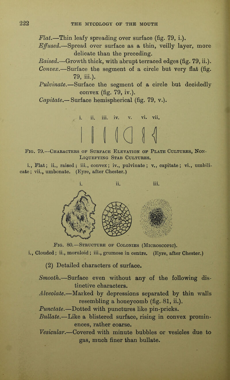 Flat.—Thin leafy spreading over surface (fig. 79, i.). Effused.—Spread over surface as a thin, veilly layer, more delicate than the preceding. Baised.—Growth thick, with abrupt terraced edges (fig. 79, ii.). Convex.—Surface the segment of a circle but very flat (fig. 79, iii.). Pulvinate.—Surface the segment of a circle but decidedly convex (fig. 79, iv.). Capitate—'^mlo.cQ hemispherical (fig. 79, v.). i. ii. iii. iv, v. vi. vii. Fig. 79.—Chaeacters of Surface Elevation of Plate Cultures, Non- Liquefying Stab Cultures. i., Flat; ii., raised; iii,, convex; iv., pulvinate; v., capitate; vi., umbili- cate; vii., umbonate. (Eyre, after Chester.) i. ii. iii. Fig, 80.—Structure of Colonies (Microscopic), i., Clouded; ii., moruloid; iii., grumose in centre. (Eyre, after Chester.) (2) Detailed characters of surface. Smooth.—Surface even without any of the following dis- tinctive characters. Alveolate.—Marked by depressions separated by thin walls resembliDg a honeycomb (fig. 81, ii.). Punctate.—Dotted with punctures like pin-pricks. Bullate.—Like a blistered surface, rising in convex promin- ences, rather coarse. Vesicular.—Covered with minute bubbles or vesicles due to gas, much finer than bullate.