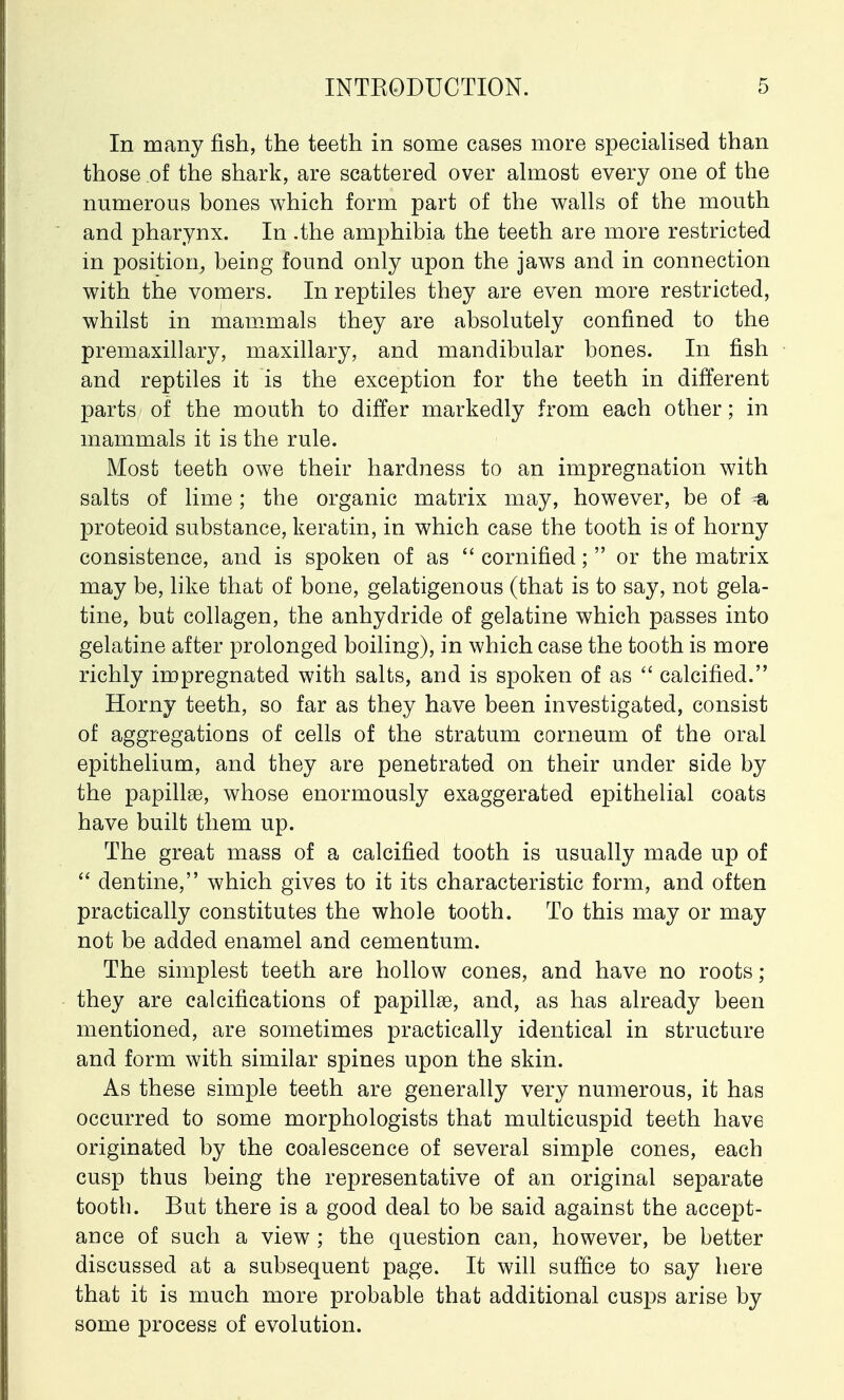 In many fish, the teeth in some cases more specialised than those of the shark, are scattered over almost every one of the numerous bones which form part of the walls of the mouth and pharynx. In .the amphibia the teeth are more restricted in position, being found only upon the jaws and in connection with the vomers. In reptiles they are even more restricted, whilst in mammals they are absolutely confined to the premaxillary, maxillary, and mandibular bones. In fish and reptiles it is the exception for the teeth in different parts of the mouth to differ markedly from each other; in mammals it is the rule. Most teeth owe their hardness to an impregnation with salts of lime; the organic matrix may, however, be of proteoid substance, keratin, in which case the tooth is of horny consistence, and is spoken of as  cornified;  or the matrix may be, like that of bone, gelatigenous (that is to say, not gela- tine, but collagen, the anhydride of gelatine which passes into gelatine after prolonged boiling), in which case the tooth is more richly impregnated with salts, and is spoken of as  calcified. Horny teeth, so far as they have been investigated, consist of aggregations of cells of the stratum corneum of the oral epithelium, and they are penetrated on their under side by the papillse, whose enormously exaggerated epithelial coats have built them up. The great mass of a calcified tooth is usually made up of  dentine, which gives to it its characteristic form, and often practically constitutes the whole tooth. To this may or may not be added enamel and cementum. The simplest teeth are hollow cones, and have no roots; they are calcifications of papillae, and, as has already been mentioned, are sometimes practically identical in structure and form with similar spines upon the skin. As these simple teeth are generally very numerous, it has occurred to some morphologists that multicuspid teeth have originated by the coalescence of several simple cones, each cusp thus being the representative of an original separate tootb. But there is a good deal to be said against the accept- ance of such a view ; the question can, however, be better discussed at a subsequent page. It will suffice to say here that it is much more probable that additional cusps arise by some process of evolution.