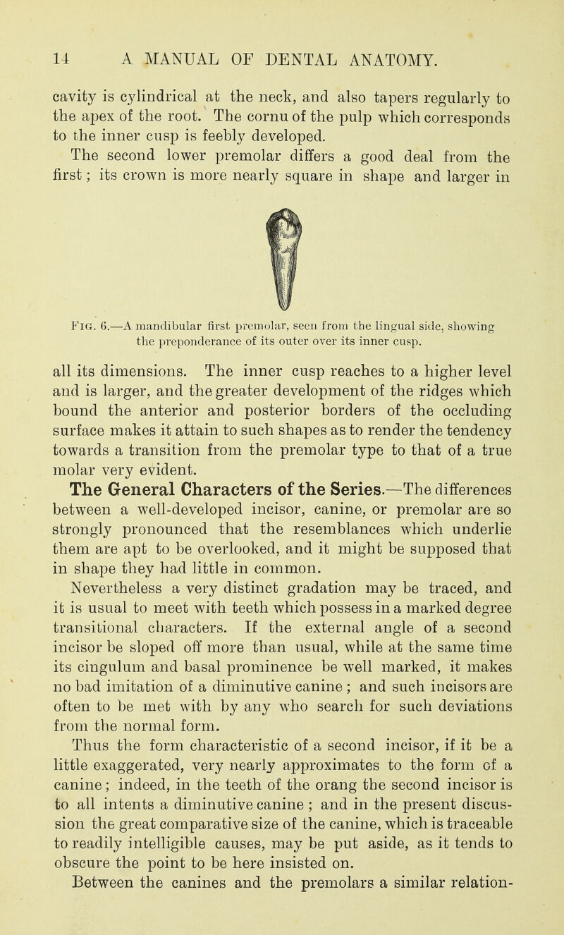 cavity is cylindrical at the neck, and also tapers regularly to the apex of the root. The cornu of the pulp which corresponds to the inner cusp is feebly developed. The second lower premolar differs a good deal from the first; its crown is more nearly square in shape and larger in FlG. 6.—A mandibular first premolar, seen from the lingual side, showing the preponderance of its outer over its inner cusp. all its dimensions. The inner cusp reaches to a higher level and is larger, and the greater development of the ridges which bound the anterior and posterior borders of the occluding surface makes it attain to such shapes as to render the tendency towards a transition from the premolar type to that of a true molar very evident. The General Characters of the Series.—The differences between a well-developed incisor, canine, or premolar are so strongly pronounced that the resemblances which underlie them are apt to be overlooked, and it might be supposed that in shape they had little in common. Nevertheless a very distinct gradation may be traced, and it is usual to meet with teeth which possess in a marked degree transitional characters. If the external angle of a second incisor be sloped off more than usual, while at the same time its cingulum and basal prominence be well marked, it makes no bad imitation of a diminutive canine ; and such incisors are often to be met with by any who search for such deviations from the normal form. Thus the form characteristic of a second incisor, if it be a little exaggerated, very nearly approximates to the form of a canine; indeed, in the teeth of the orang the second incisor is to all intents a diminutive canine ; and in the present discus- sion the great comparative size of the canine, which is traceable to readily intelligible causes, may be put aside, as it tends to obscure the point to be here insisted on. Between the canines and the premolars a similar relation-