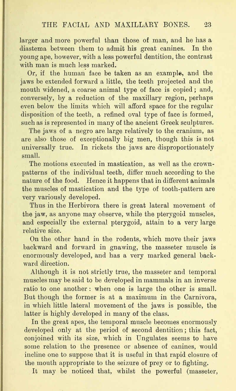 larger and more powerful than those of man, and he has a diastema between them to admit his great canines. In the young ape, however, with a less powerful dentition, the contrast with man is much less marked. Or, if the human face be taken as an example, and the jaws be extended forward a little, the teeth projected and the mouth widened, a coarse animal type of face is copied; and, conversely, by a reduction of the maxillary region, perhaps even below the limits which will afford space for the regular disposition of the teeth, a refined oval type of face is formed, such as is represented in many of the ancient Greek sculptures. The jaws of a negro are large relatively to the cranium, as are also those of exceptionally big men, though this is not universally true. In rickets the jaws are disproportionately small. The motions executed in mastication, as well as the crown- patterns of the individual teeth, differ much according to the nature of the food. Hence it happens that in different animals the muscles of mastication and the type of tooth-pattern are very variously developed. Thus in the Herbivora there is great lateral movement of the jaw, as anyone may observe, while the pterygoid muscles, and especially the external pterygoid, attain to a very large relative size. On the other hand in the rodents, which move their jaws backward and forward in gnawing, the masseter muscle is enormously developed, and has a very marked general back- ward direction. Although it is not strictly true, the masseter and temporal muscles may be said to be developed in mammals in an inverse ratio to one another : when one is large the other is small. But though the former is at a maximum in the Carnivora, in which little lateral movement of the jaws is possible, the latter is highly developed in many of the class. In the great apes, the temporal muscle becomes enormously developed only at the period of second dentition; this fact, conjoined with its size, which in Ungulates seems to have some relation to the presence or absence of canines, would incline one to suppose that it is useful in that rapid closure of the mouth appropriate to the seizure of prey or to fighting. It may be noticed that, whilst the powerful (masseter,
