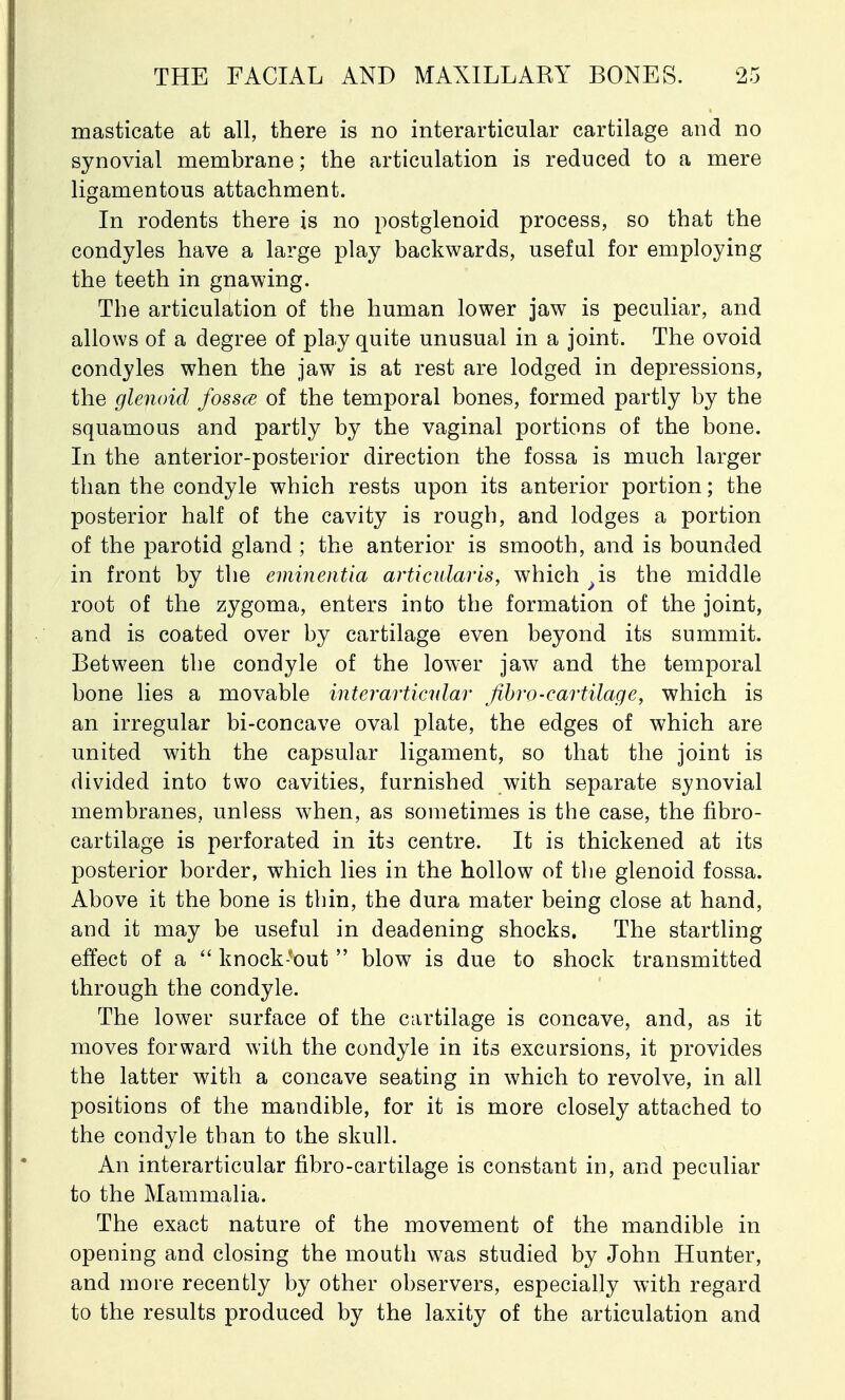 masticate at all, there is no interarticular cartilage and no synovial membrane; the articulation is reduced to a mere ligamentous attachment. In rodents there is no postglenoid process, so that the condyles have a large play backwards, useful for employing the teeth in gnawing. The articulation of the human lower jaw is peculiar, and allows of a degree of play quite unusual in a joint. The ovoid condyles when the jaw is at rest are lodged in depressions, the glenoid fosses of the temporal bones, formed partly by the squamous and partly by the vaginal portions of the bone. In the anterior-posterior direction the fossa is much larger than the condyle which rests upon its anterior portion; the posterior half of the cavity is rough, and lodges a portion of the parotid gland ; the anterior is smooth, and is bounded in front by the eminentia articularis, which >is the middle root of the zygoma, enters into the formation of the joint, and is coated over by cartilage even beyond its summit. Between the condyle of the lower jaw and the temporal bone lies a movable interarticular fibro-cartilage, which is an irregular bi-concave oval plate, the edges of which are united with the capsular ligament, so that the joint is divided into two cavities, furnished with separate synovial membranes, unless when, as sometimes is the case, the flbro- cartilage is perforated in its centre. It is thickened at its posterior border, which lies in the hollow of the glenoid fossa. Above it the bone is thin, the dura mater being close at hand, and it may be useful in deadening shocks. The startling effect of a  knock-rout  blow is due to shock transmitted through the condyle. The lower surface of the cartilage is concave, and, as it moves forward with the condyle in its excursions, it provides the latter with a concave seating in which to revolve, in all positions of the mandible, for it is more closely attached to the condyle than to the skull. An interarticular fibro-cartilage is constant in, and peculiar to the Mammalia. The exact nature of the movement of the mandible in opening and closing the mouth was studied by John Hunter, and more recently by other observers, especially with regard to the results produced by the laxity of the articulation and