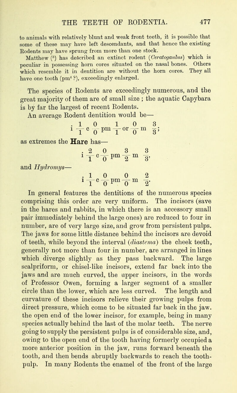 to animals with relatively blunt and weak front teeth, it is possible that some of these may have left descendants, and that hence the existing Rodents may have sprung from more than one stock. Matthew (5) has described an extinct rodent [Geratogaulus) which is peculiar in possessing horn cores situated on the nasal bones. Others which resemble it in dentition are without the horn cores. They all have one tooth (pm4 ?), exceedingly enlarged. The species of Kodents are exceedingly numerous, and the great majority of them are of small size ; the aquatic Capybara is by far the largest of recent Eodents. An average Kodent dentition would be— .10 10 3 iTcTpmTor?m 3; as extremes the Hare has— .2 0 3 3 iTcTpm^-m -g, and Hydromys— .10 0 2 1TcTpm'om 2' In general features the dentitions of the numerous species comprising this order are very uniform. The incisors (save in the hares and rabbits, in which there is an accessory small pair immediately behind the large ones) are reduced to four in number, are of very large size, and grow from persistent pulps. The jaws for some little distance behind the incisors are devoid of teeth, while beyond the interval {diastema) the cheek teeth, generally not more than four in number, are arranged in lines which diverge slightly as they pass backward. The large scalpriform, or chisel-like incisors, extend far back into the jaws and are much curved, the upper incisors, in the words of Professor Owen, forming a larger segment of a smaller circle than the lower, which are less curved. The length and curvature of these incisors relieve their growing pulps from direct pressure, which come to be situated far back in the jaw. the open end of the lower incisor, for example, being in many species actually behind the last of the molar teeth. The nerve going to supply the persistent pulps is of considerable size, and, owing to the open end of the tooth having formerly occupied a more anterior position in the jaw, runs forward beneath the tooth, and then bends abruptly backwards to reach the tooth- pulp. In many Eodents the enamel of the front of the large