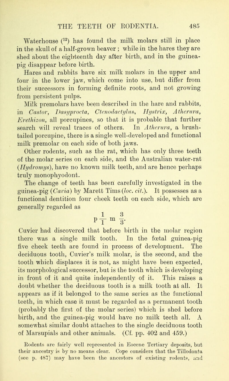 Waterhouse (12) has found the milk molars still in place in the skull of a half-grown beaver ; while in the hares they are shed about the eighteenth day after birth, and in the guinea- pig disappear before birth. Hares and rabbits have six milk molars in the upper and four in the lower jaw, which come into use, but differ from their successors in forming definite roots, and not growing from persistent pulps. Milk premolars have been described in the hare and rabbits, in Castor, Dasyprocta, Ctenodaetylus, Hystrix, Atherura, Erethizon, all porcupines, so that it is probable that further search will reveal traces of others. In Atherura, a brush- tailed porcupine, there is a single well-developed and functional milk premolar on each side of both jaws. Other rodents, such as the rat, which has only three teeth of the molar series on each side, and the Australian water-rat (Hydromys), have no known milk teeth, and are hence perhaps truly monophyodont. The change of teeth has been carefully investigated in the guinea-pig (Cavia) by Marett Tims (loc. cit.). It possesses as a functional dentition four cheek teeth on each side, which are generally regarded as 1 3 PTm Cuvier had discovered that before birth in the molar region there was a single milk tooth. In the foetal guinea-pig five cheek teeth are found in process of development. The deciduous tooth, Cuvier's milk molar, is the second, and the tooth which displaces it is not, as might have been expected, its morphological successor, but is the tooth which is developing in front of it and quite independently of it. This raises a doubt whether the deciduous tooth is a milk tooth at all. It appears as if it belonged to the same series as the functional teeth, in which case it must be regarded as a permanent tooth (probably the first of the molar series) which is shed before birth, and the guinea-pig would have no milk teeth all. A somewhat similar doubt attaches to the single deciduous tooth of Marsupials and other animals. (Cf. pp. 402 and 459.) Eodents are fairly well represented in Eocene Tertiary deposits, but their ancestry is by no means clear. Cope considers that the Tillodonta (see p. 487) may have been the ancestors of existing rodents, and