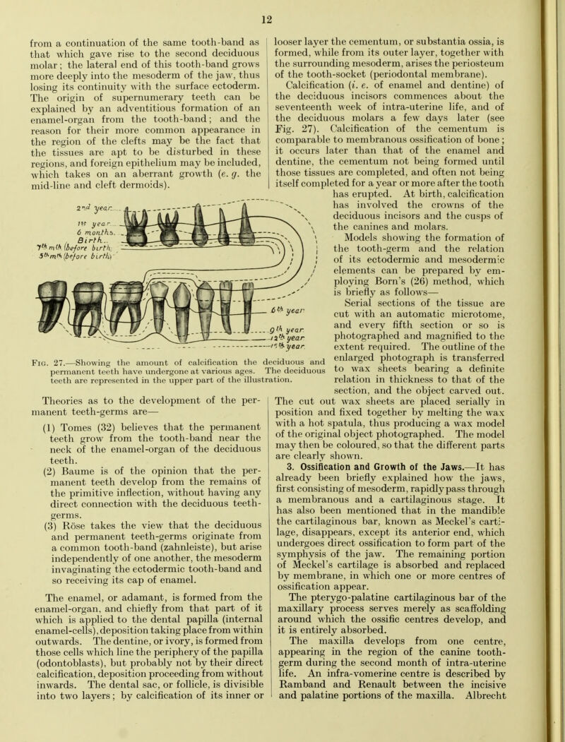 from a continuation of the same tooth-band as that which gave rise to the second deciduous molar; the lateral end of this tooth-band grows more deeply into the mesoderm of the jaw, thus losing its continuity with the surface ectoderm. The origin of supernumerary teeth can be explained by an adventitious formation of an enamel-organ from the tooth-band; and the reason for their more common appearance in the region of the clefts may be the fact that the tissues are apt to be disturbed in these regions, and foreign epithelium may be included, which takes on an aberrant growth (e. g. the mid-line and cleft dermoids). 7?f yea r 6 moriths. , Birth... 7'WA [before birth, 5th m'*> [before birtk)' year 1 v year ir.th-ye.ar Fig. 27.—Showing the amount of calcification the deciduous and permanent teeth have undergone at various ages. The deciduous teeth are represented in the upper part of the illustration. Theories as to the development of the per- manent teeth-germs are— (1) Tomes (32) believes that the permanent teeth grow from the tooth-band near the neck of the enamel-organ of the deciduous teeth. (2) Baume is of the opinion that the per- manent teeth develop from the remains of the primitive inflection, without having any direct connection with the deciduous teeth- germs. (3) Rose takes the view that the deciduous and permanent teeth-germs originate from a common tooth-band (zahnleiste), but arise independently of one another, the mesoderm invaginating the ectodermic tooth-band and so receiving its cap of enamel. The enamel, or adamant, is formed from the enamel-organ, and chiefly from that part of it which is applied to the dental papilla (internal enamel-cells), deposition taking place from within outwards. The dentine, or ivory, is formed from those cells which line the periphery of the papilla (odontoblasts), but probably not by their direct calcification, deposition proceeding from without inwards. The dental sac, or follicle, is divisible into two layers ; by calcification of its inner or looser layer the cementum, or substantia ossia, is formed, while from its outer layer, together with the surrounding mesoderm, arises the periosteum of the tooth-socket (periodontal membrane). Calcification (i. e. of enamel and dentine) of the deciduous incisors commences about the seventeenth week of intra-uterine life, and of the deciduous molars a few days later (see Fig. 27). Calcification of the cementum is comparable to membranous ossification of bone ; it occurs later than that of the enamel and dentine, the cementum not being formed until those tissues are completed, and often not being itself completed for a year or more after the tooth has erupted. At birth, calcification has involved the crowns of the deciduous incisors and the cusps of the canines and molars. Models showing the formation of the tooth-germ and the relation of its ectodermic and mesoderm ;.c elements can be prepared by em- ploying Born's (26) method, which is briefly as follows— Serial sections of the tissue are cut with an automatic microtome, and every fifth section or so is photographed and magnified to the extent required. The outline of the enlarged photograph is transferred to wax sheets bearing a definite relation in thickness to that of the section, and the object carved out. The cut out wax sheets are placed serially in position and fixed together by melting the wax with a hot spatula, thus producing a wax model of the original object photographed. The model may then be coloured, so that the different parts are clearly shown. 3. Ossification and Growth of the Jaws.—It has already been briefly explained how the jaws, first consisting of mesoderm, rapidly pass through a membranous and a cartilaginous stage. It has also been mentioned that in the mandible the cartilaginous bar, known as Meckel's carti- lage, disappears, except its anterior end, which undergoes direct ossification to form part of the symphysis of the jaw. The remaining portion of Meckel's cartilage is absorbed and replaced by membrane, in which one or more centres of ossification appear. The pterygo-palatine cartilaginous bar of the maxillary process serves merely as scaffolding around which the ossific centres develop, and it is entirely absorbed. The maxilla develops from one centre, appearing in the region of the canine tooth- germ during the second month of intra-uterine life. An infra-vomerine centre is described by Ramband and Renault between the incisive and palatine portions of the maxilla. Albrecht