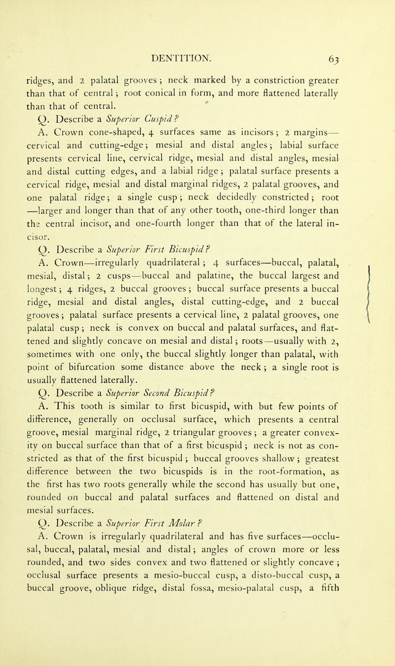 ridges, and 2 palatal grooves ; neck marked by a constriction greater than that of central; root conical in form, and more flattened laterally than that of central. Q. Describe a Superior Cuspid? A. Crown cone-shaped, 4 surfaces same as incisors ; 2 margins— cervical and cutting-edge; mesial and distal angles; labial surface presents cervical line, cervical ridge, mesial and distal angles, mesial and distal cutting edges, and a labial ridge ; palatal surface presents a cervical ridge, mesial and distal marginal ridges, 2 palatal grooves, and one palatal ridge; a single cusp; neck decidedly constricted ; root —larger and longer than that of any other tooth, one-third longer than the central incisor, and one-fourth longer than that of the lateral in- cisor. Q. Describe a Superior First Bicuspid? A. Crown—irregularly quadrilateral ; 4 surfaces—buccal, palatal, mesial, distal; 2 cusps—buccal and palatine, the buccal largest and longest; 4 ridges, 2 buccal grooves ; buccal surface presents a buccal ridge, mesial and distal angles, distal cutting-edge, and 2 buccal grooves; palatal surface presents a cervical line, 2 palatal grooves, one palatal cusp; neck is convex on buccal and palatal surfaces, and flat- tened and slightly concave on mesial and distal; roots—usually with 2, sometimes with one only, the buccal slightly longer than palatal, with point of bifurcation some distance above the neck; a single root is usually flattened laterally. Q. Describe a Superior Second Bicuspid? A. This tooth is similar to first bicuspid, with but few points of difference, generally on occlusal surface, which presents a central groove, mesial marginal ridge, 2 triangular grooves ; a greater convex- ity on buccal surface than that of a first bicuspid ; neck is not as con- stricted as that of the first bicuspid ; buccal grooves shallow ; greatest difference between the two bicuspids is in the root-formation, as the first has two roots generally while the second has usually but one, rounded on buccal and palatal surfaces and flattened on distal and mesial surfaces. Q. Describe a Superior First Molar ? A. Crown is irregularly quadrilateral and has five surfaces—occlu- sal, buccal, palatal, mesial and distal; angles of crown more or less rounded, and two sides convex and two flattened or slightly concave ; occlusal surface presents a mesio-buccal cusp, a disto-buccal cusp, a buccal groove, oblique ridge, distal fossa, mesio-palatal cusp, a fifth