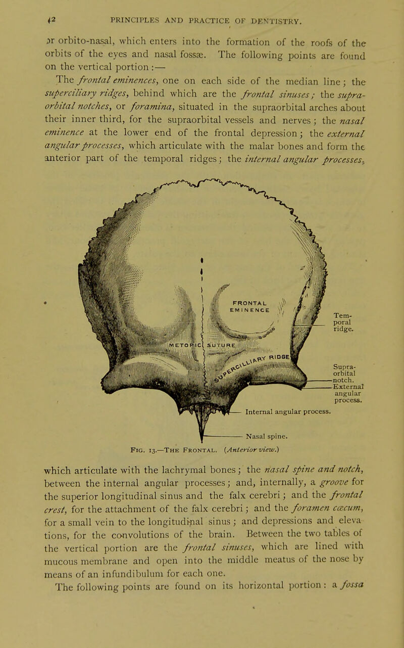 or orbito-nasal, which enters into the formation of the roofs of the orbits of the eyes and nasal fossae. The following points are found on the vertical portion : — The fi-07ital efninences, one on each side of the median line; the superciliary ridges, behind which are the frontal sinuses; supra- orbital notches, or foramina, situated in the supraorbital arches about their inner third, for the supraorbital vessels and nerves ; the nasal eminence at the lower end of the frontal depression j the external angular processes, which articulate with the malar bones and form the anterior part of the temporal ridges; the internal angular processes.. Fig. 13.—The Frontal. {Anterior view^ which articulate with the lachrymal bones ; the Hasal spine and notch, between the internal angular processes; and, internally, a groove for the superior longitudinal sinus and the falx cerebri; and the frontal crest, for the attachment of the falx cerebri; and the foramen ccecum, for a small vein to the longitudi-nal sinus ; and depressions and eleva- tions, for the co-nvolutions of the brain. Between the two tables of the vertical portion are the frontal sinuses, which are lined with mucous membrane and open into the middle meatus of the nose by means of an infundibulum for each one. The following points are found on its horizontal portion: fossa