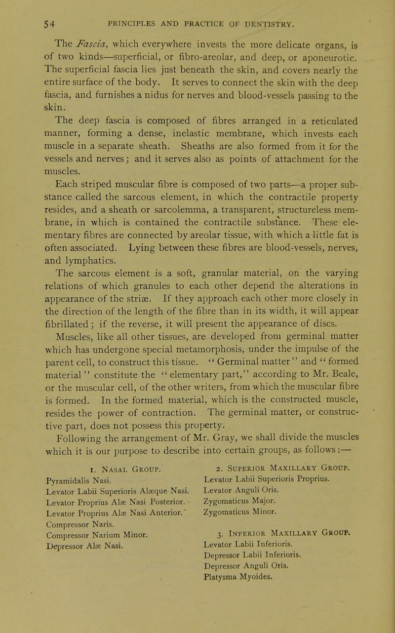 The Fascia, which everywhere invests the more delicate organs, is of two kinds—superficial, or fibro-areolar, and deep, or aponeurotic. The superficial fascia lies just beneath the skin, and covers nearly the entire surface of the body. It serves to connect the skin with the deep fascia, and furnishes a nidus for nerves and blood-vessels passing to the skin. The deep fascia is composed of fibres arranged in a reticulated manner, forming a dense, inelastic membrane, which invests each muscle in a separate sheath. Sheaths are also formed from it for the vessels and nerves; and it serves also as points of attachment for the muscles. Each striped muscular fibre is composed of two parts—a proper sub- stance called the sarcous element, in which the contractile property resides, and a sheath or sarcolemma, a transparent, structureless mem- brane, in which is contained the contractile substance. These ele- mentary fibres are connected by areolar tissue, with which a little fat is often associated. Lying between these fibres are blood-vessels, nerves, and lymphatics. The sarcous element is a soft, granular material, on the varying relations of which granules to each other depend the alterations in appearance of the striae. If they approach each other more closely in the direction of the length of the fibre than in its width, it will appear fibrillated; if the reverse, it will present the appearance of discs. Muscles, like all other tissues, are developed from germinal matter which has undergone special metamorphosis, under the impulse of the parent cell, to construct this tissue.  Germinal matter  and  formed material  constitute the  elementary part, according to Mr. Beale, or the muscular cell, of the other writers, from which the muscular fibre is formed. In the formed material, which is the constructed muscle, resides the power of contraction. The germinal matter, or construc- tive part, does not possess this property. Following the arrangement of Mr. Gray, we shall divide the muscles which it is our purpose to describe into certain groups, as follows:— I. Nasal Group. 2. Superior Maxillary Group. Pyramidalis Nasi. Levator Labii Superioris Proprius. Levator Labii Superioris Alseque Nasi. Levator Anguli Oris. Levator Proprius Alse Nasi Posterior. Zygomaticus Major. Levator Proprius Alte Nasi Anterior. ~ Zygomaticus Minor. Compressor Naris. Compressor Narium Minor. 3- Inferior Maxillary Group. Depressor Alee Nasi. Levator Labii Inferioris. Depressor Labii Inferioris. Depressor Anguli Oris. Platysma Myoides.