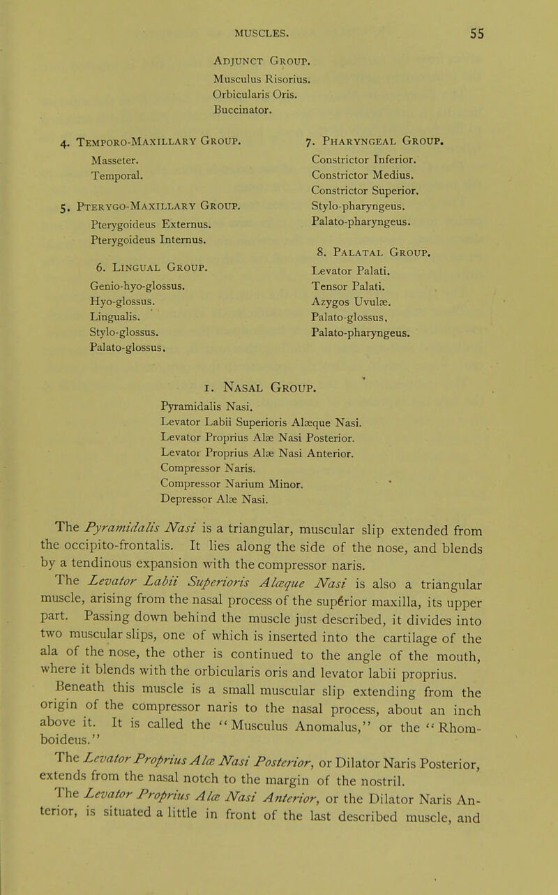 Adjunct Group. Musculus Risorius. Orbicularis Oris, Buccinator. 4, Temporo-Maxillary Group. Masseter. Temporal. 7. Pharyngeal Group. 5. Pterygo-Maxillary Group. Pterygoideus Externus. Pterygoideus Internus. Constrictor Inferior. Constrictor Medius. Constrictor Superior. Stylo-pharyngeus. Palato-pharyngeus. 8. Palatal Group. 6. Lingual Group. Levator Palati. Tensor Palati. Azygos Uvulae. Palato-glossus. Genio-hyo-glossus. Hyo-glossus. Lingualis. Stylo-glossus. Palato-glossus. Palato-pharyngeus. I. Nasal Group. Pyramidalis Nasi. Levator Labii Superioris Alaaque Nasi. Levator Proprius Alse Nasi Posterior. Levatoi Proprius Alae Nasi Anterior. Compressor Naris. Compressor Narium Minor. Depressor Alse Nasi. The Pyramidalis Nasi is a triangular, muscular slip extended from the occipito-frontalis. It lies along the side of the nose, and blends by a tendinous expansion with the compressor naris. The Levator Labii Superioris Alceque JVasi is also a triangular muscle, arising from the nasal process of the superior maxilla, its upper part. Passing down behind the muscle just described, it divides into two muscular slips, one of which is inserted into the cartilage of the ala of the nose, the other is continued to the angle of the mouth, where it blends with the orbicularis oris and levator labii proprius. Beneath this muscle is a small muscular slip extending from the origin of the compressor naris to the nasal process, about an inch above it. It is called the Musculus Anomalus, or the  Rhom- boideus. The Levator Proprius Aloi Nasi Posterior, or Dilator Naris Posterior, extends from the na.sal notch to the margin of the nostril. The Levator Proprius Aim Nasi Anterior, or the Dilator Naris An- terior, is situated a little in front of the last described muscle, and