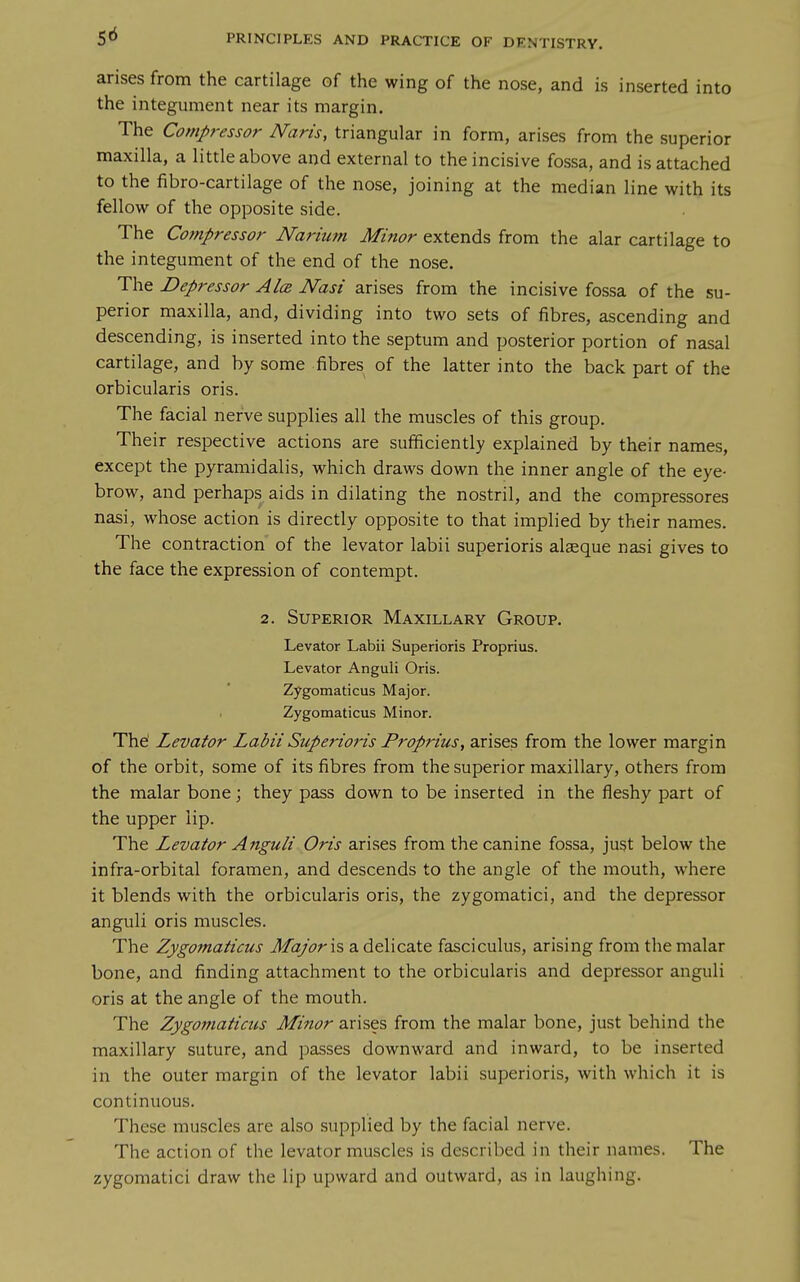 arises from the cartilage of the wing of the nose, and is inserted into the integument near its margin. The Compressor Naris, triangular in form, arises from the superior maxilla, a little above and external to the incisive fossa, and is attached to the fibro-cartilage of the nose, joining at the median line with its fellow of the opposite side. The Compressor Narium Minor extends from the alar cartilage to the integument of the end of the nose. The Depressor Alee Nasi arises from the incisive fossa of the su- perior maxilla, and, dividing into two sets of fibres, ascending and descending, is inserted into the septum and posterior portion of nasal cartilage, and by some fibres of the latter into the back part of the orbicularis oris. The facial nerve supplies all the muscles of this group. Their respective actions are sufficiently explained by their names, except the pyramidalis, which draws down the inner angle of the eye- brow, and perhaps aids in dilating the nostril, and the compressores nasi, whose action is directly opposite to that implied by their names. The contraction of the levator labii superioris alaeque nasi gives to the face the expression of contempt. 2. Superior Maxillary Group. Levator Labii Superioris Proprius. Levator Anguli Oris. Zygomaticus Major. Zygomaticus Minor. The' Levator Labii Superioi'is Proprius, arises from the lower margin of the orbit, some of its fibres from the superior maxillary, others from the malar bone; they pass down to be inserted in the fleshy part of the upper lip. The Levator Anguli Oris arises from the canine fossa, just below the infra-orbital foramen, and descends to the angle of the mouth, where it blends with the orbicularis oris, the zygomatici, and the depressor anguli oris muscles. The Zygomaticus Major\s a delicate fasciculus, arising from the malar bone, and finding attachment to the orbicularis and depressor anguli oris at the angle of the mouth. The Zygomaticus Minor arises from the malar bone, just behind the maxillary suture, and passes downward and inward, to be inserted in the outer margin of the levator labii superioris, with which it is continuous. These muscles are also supplied by the facial nerve. The action of the levator muscles is described in their names. The zygomatici draw the lip upward and outward, as in laughing.