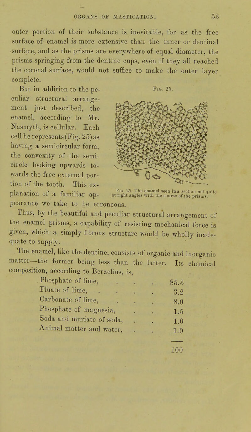 outer portion of tlieir substance is inevitable, for as the free surface of enamel is more extensive than the inner or dentinal surface, and as the prisms are everywhere of equal diameter, the prisms springing from the dentine cups, even if they all reached the coronal surface, would not suffice to make the outer layer complete. But in addition to the pe- Fig. 25. culiar structural arrange- ment just described, the enamel, according to Mr. Nasmyth, is cellular. Each cell he represents (Fig. 25) as having a semicircular form, the convexity of the semi- circle looking upwards to- wards the free external por- tion of the tooth. This ex- planation of a familiar ap- pearance we take to be erroneous. Thus, by the beautiful and peculiar structural arrangement of the enamel prisms, a capability of resisting mechanical force is given, which a simply fibrous structure would be wholly inade- quate to supply. The enamel, like the dentine, consists of organic and inorganic matter—the former being less than the latter. Its chemical composition, according to Berzelius, is, Phosphate of lime, Fluate of lime. Carbonate of lime. Phosphate of magnesia. Soda and muriate of soda, Animal matter and water, Pig. 25. The euamel seen in a section not quite at right angles with the course of the prisujs. 85.^ o 3.2 8.0 1.5 1.0 1.0 100