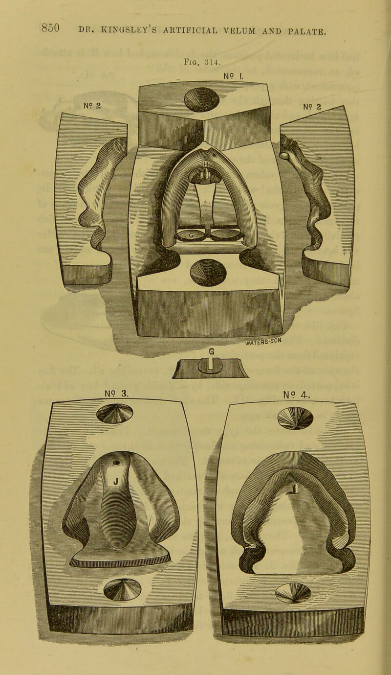 Fig. ;j14. N? I.