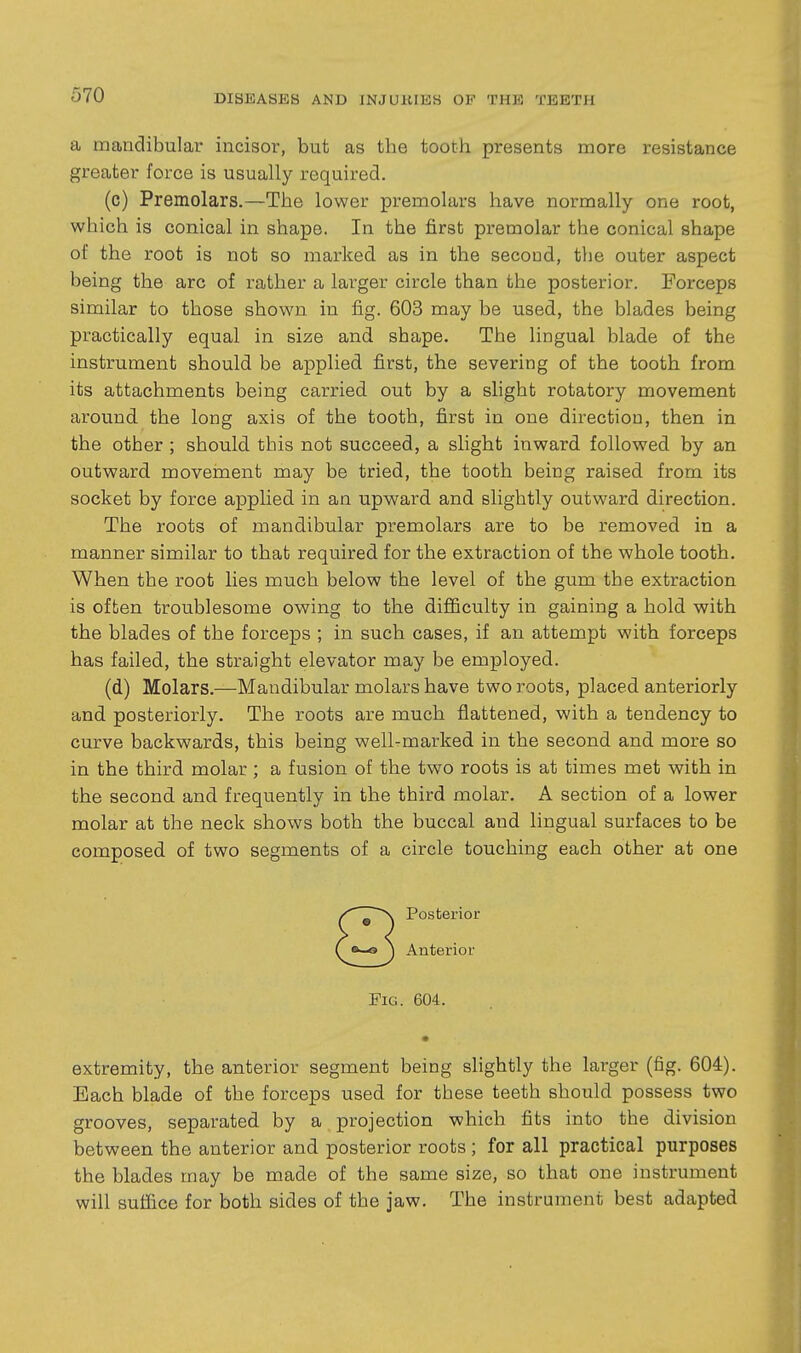 a mandibular incisor, but as the tooth presents more resistance greater force is usually required. (c) Premolars.—The lower premolars have normally one root, which is conical in shape. In the first premolar the conical shape of the root is not so marked as in the second, the outer aspect being the arc of rather a larger circle than the posterior. Forceps similar to those shown in fig. 603 may be used, the blades being practically equal in size and shape. The lingual blade of the instrument should be applied first, the severing of the tooth from its attachments being carried out by a slight rotatory movement around the long axis of the tooth, first in one direction, then in the other ; should this not succeed, a slight inward followed by an outward movement may be tried, the tooth being raised from its socket by force apphed in an upward and slightly outward direction. The roots of mandibular premolars are to be removed in a manner similar to that required for the extraction of the whole tooth. When the root lies much below the level of the gum the extraction is often troublesome owing to the difficulty in gaining a hold with the blades of the forceps ; in such cases, if an attempt with forceps has failed, the straight elevator may be employed. (d) Molars.—Mandibular molars have two roots, placed anteriorly and posteriorly. The roots are much flattened, with a tendency to curve backwards, this being well-marked in the second and more so in the third molar; a fusion of the two roots is at times met with in the second and frequently in the third molar. A section of a lower molar at the neck shows both the buccal and lingual surfaces to be composed of two segments of a circle touching each other at one Posterior Anterior Fig. 604. • extremity, the anterior segment being slightly the larger (fig. 604). Each blade of the forceps used for these teeth should possess two grooves, separated by a projection which fits into the division between the anterior and posterior roots ; for all practical purposes the blades may be made of the same size, so that one instrument will suffice for both sides of the jaw. The instrument best adapted